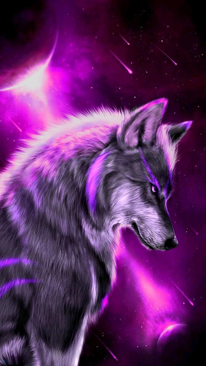 Galaxy Wolf Rainbow Wallpapers Wallpaper Cave