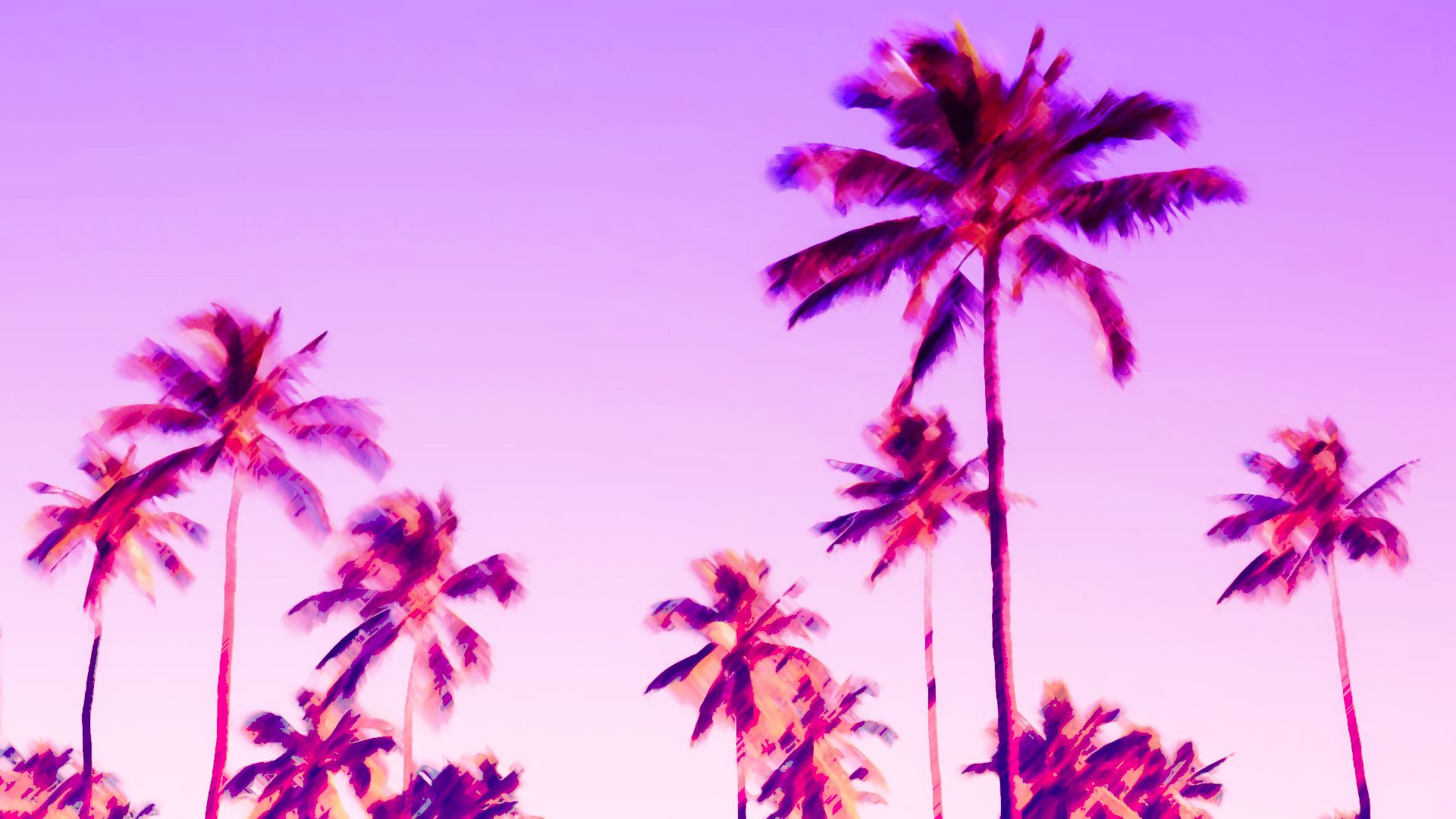 Purple Palm Trees HD Wallpapers Wallpaper Cave