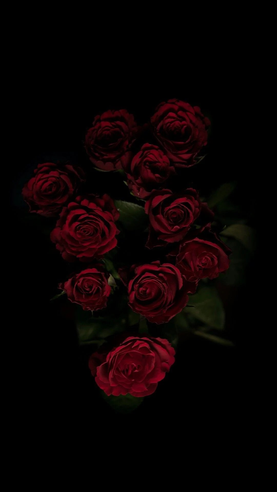 Aesthetic Black Roses Wallpapers Wallpaper Cave