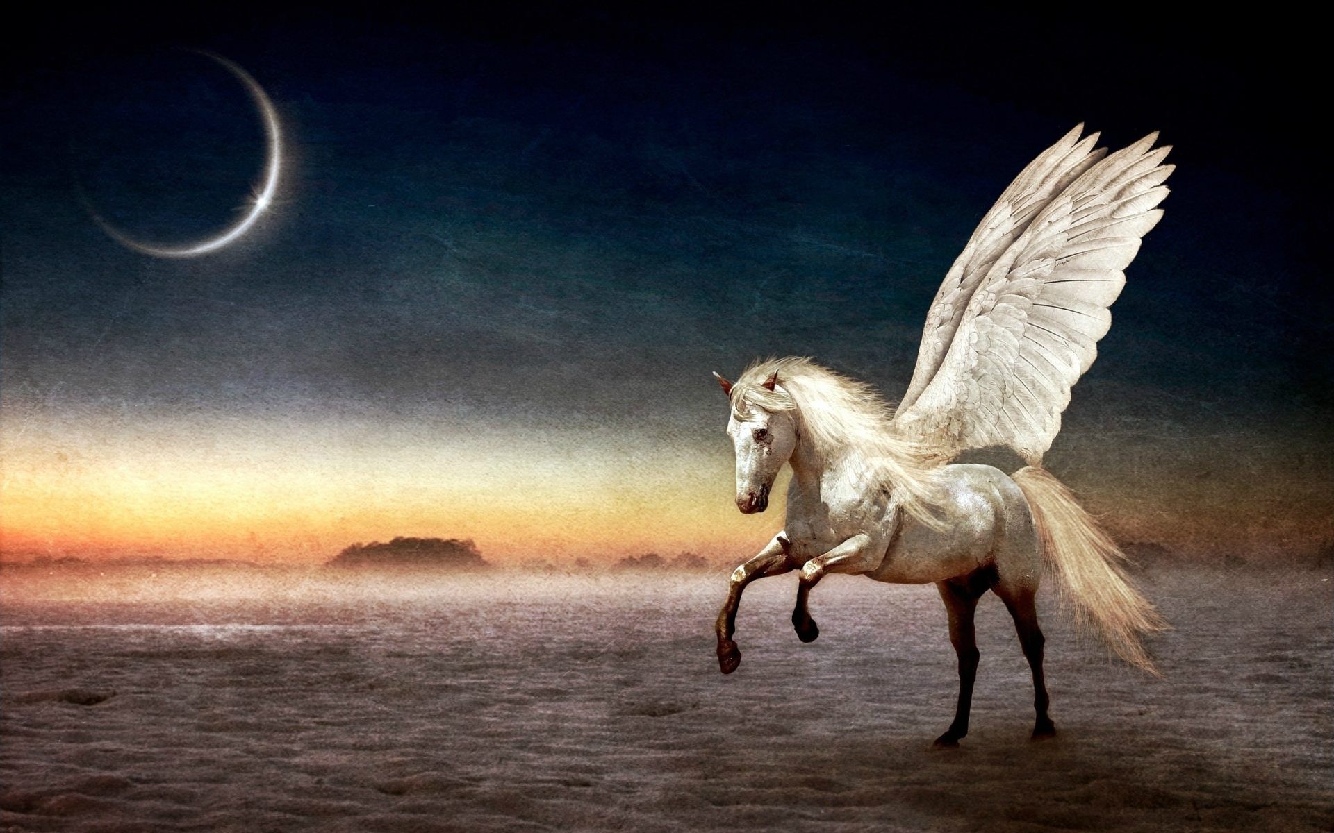 Flying Horse Wallpapers Wallpaper Cave