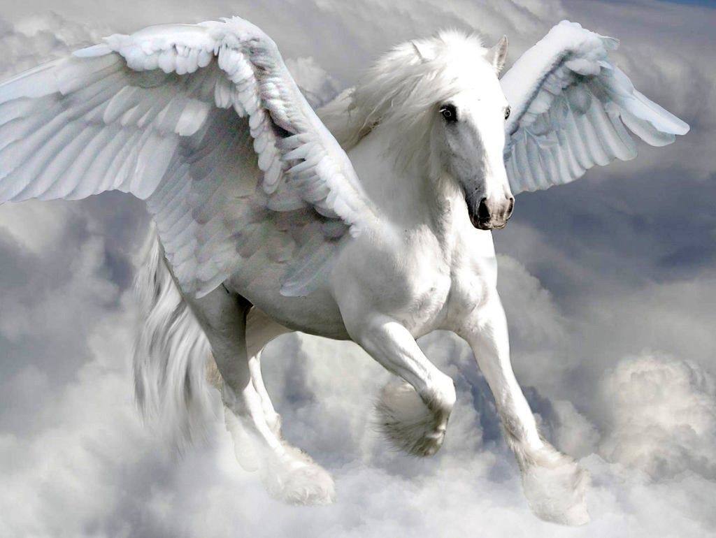 Flying Horse Wallpapers Wallpaper Cave