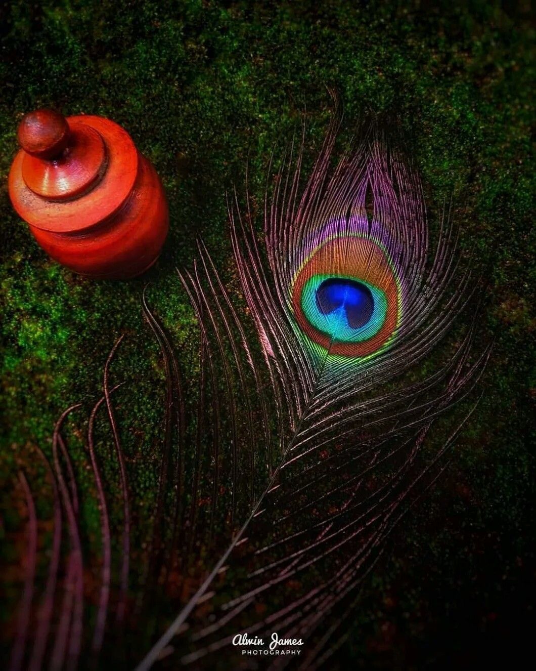 Flute And Peacock Feather Wallpapers Wallpaper Cave