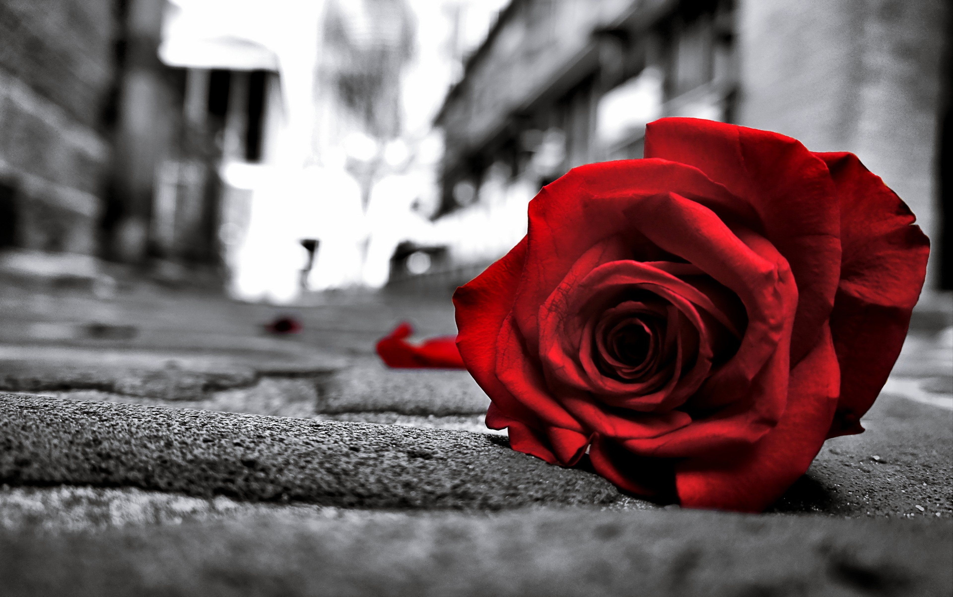 Lost Love Wallpapers Wallpaper Cave