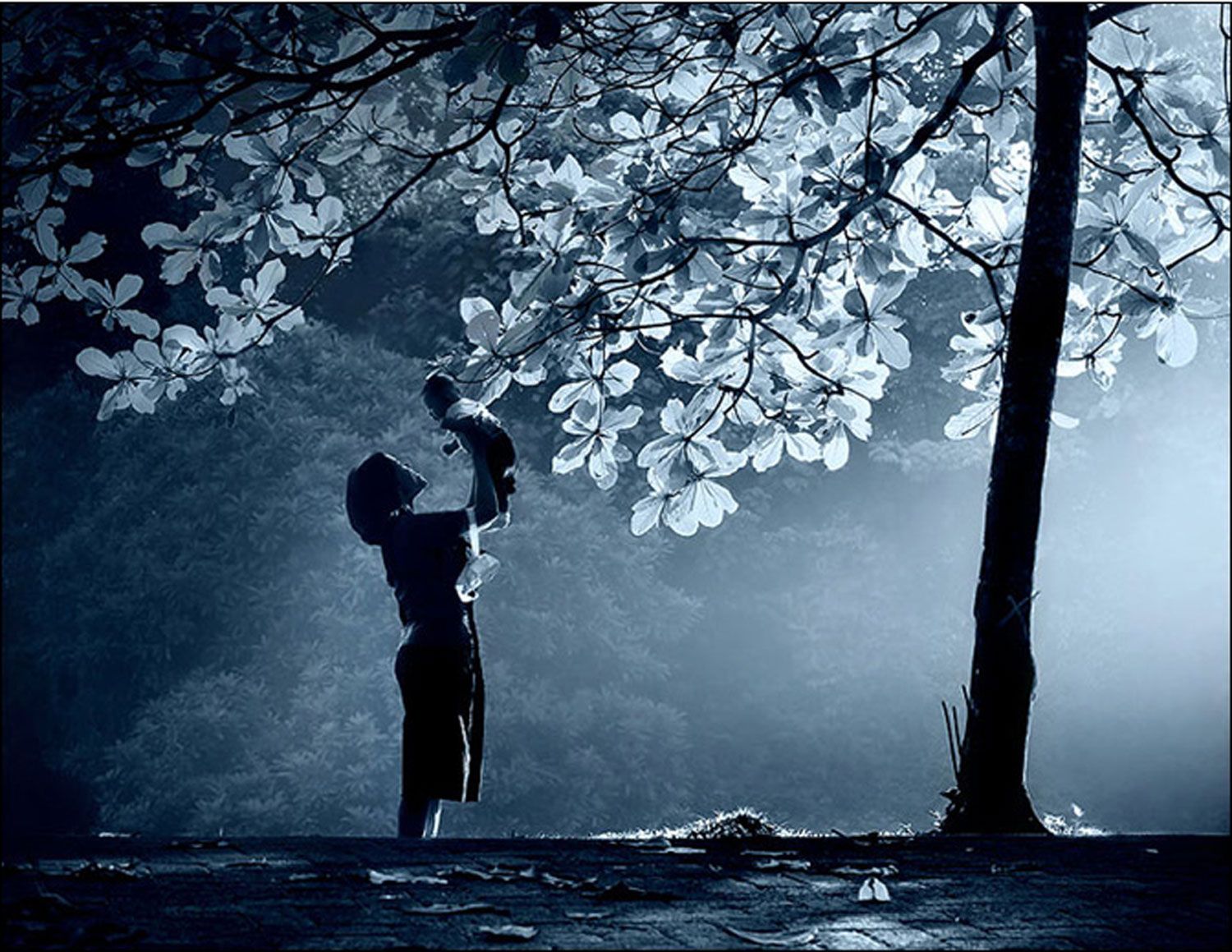 Mother And Son Wallpapers Wallpaper Cave