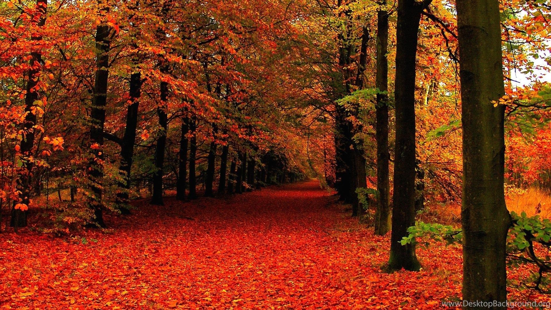 Autumn 1920x1080 Wallpapers Wallpaper Cave