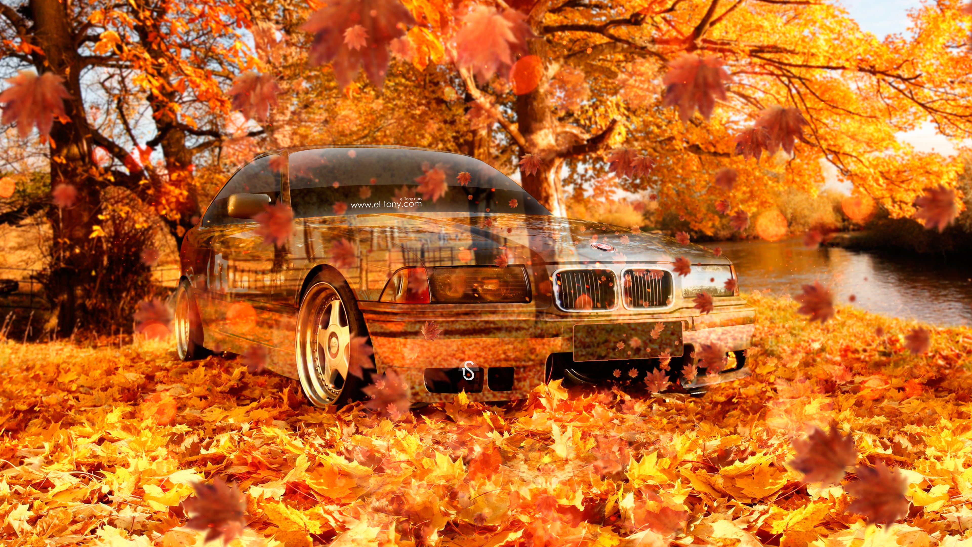 Autumn BMW 4K Wallpaper