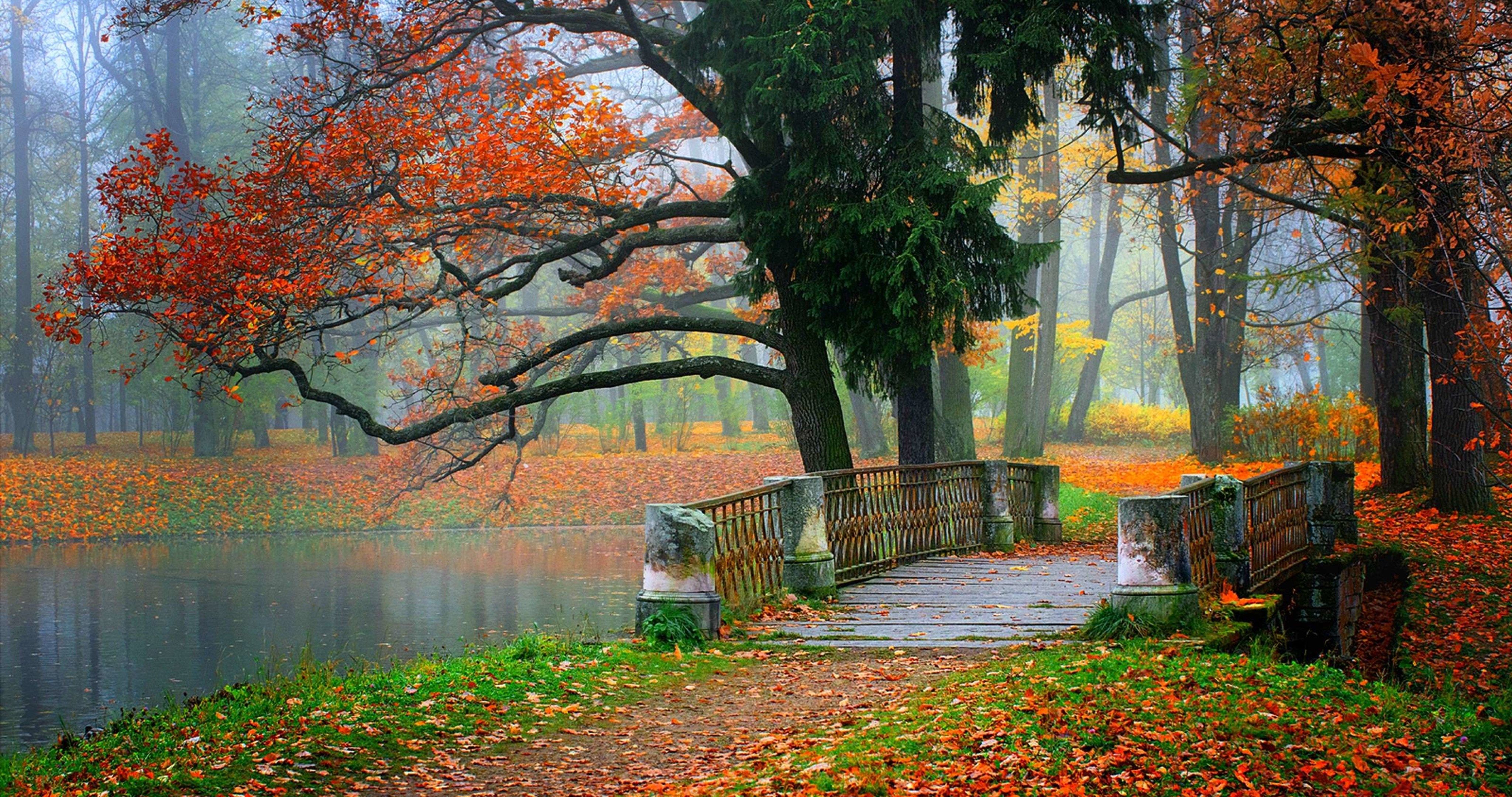 Autumn 4k Wallpapers Wallpaper Cave