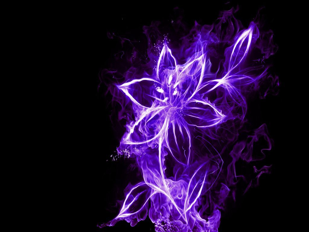 Neon Flowers Wallpapers Wallpaper Cave