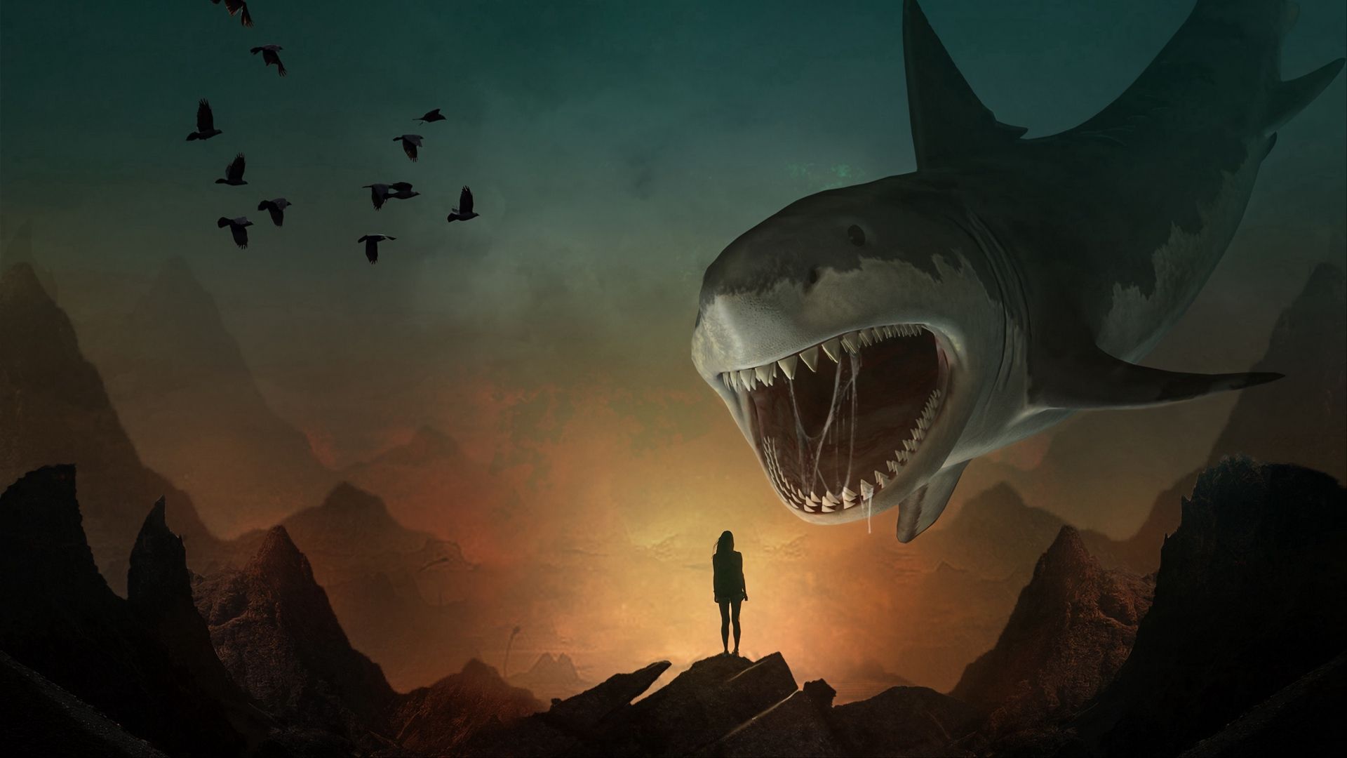 Shark Attack Wallpapers Wallpaper Cave