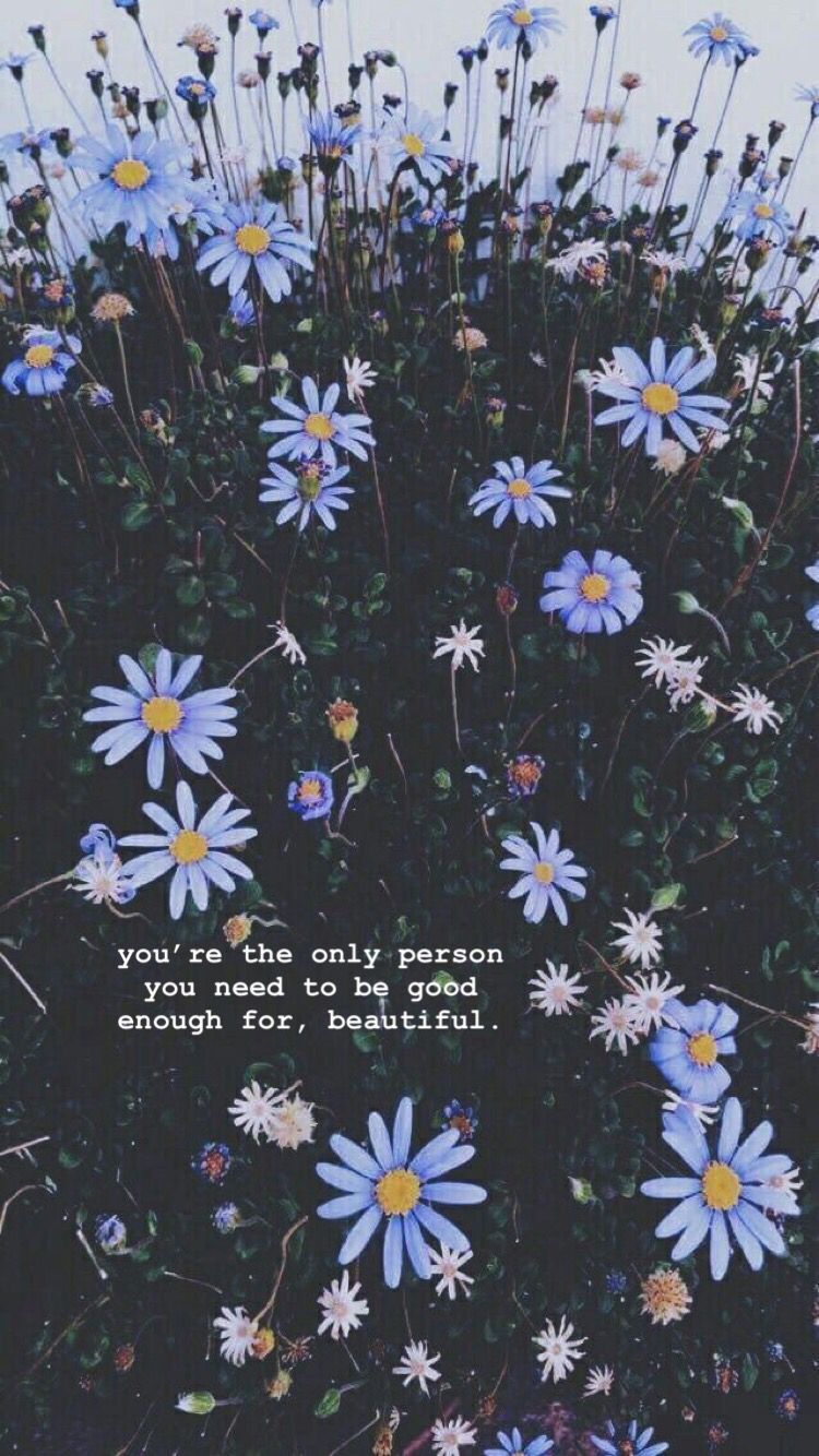 Aesthetic Flower Quote HD Wallpapers Wallpaper Cave