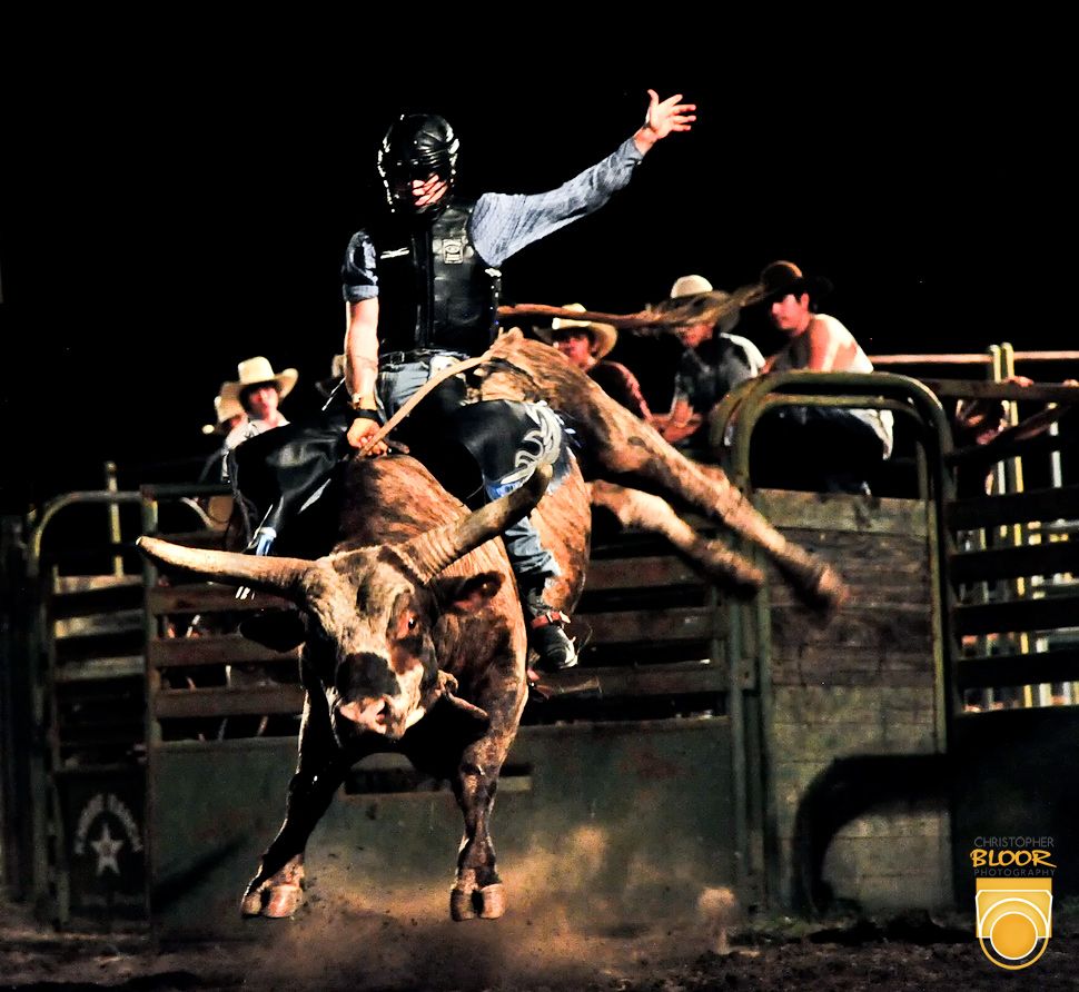 Lane Frost Wallpapers Wallpaper Cave