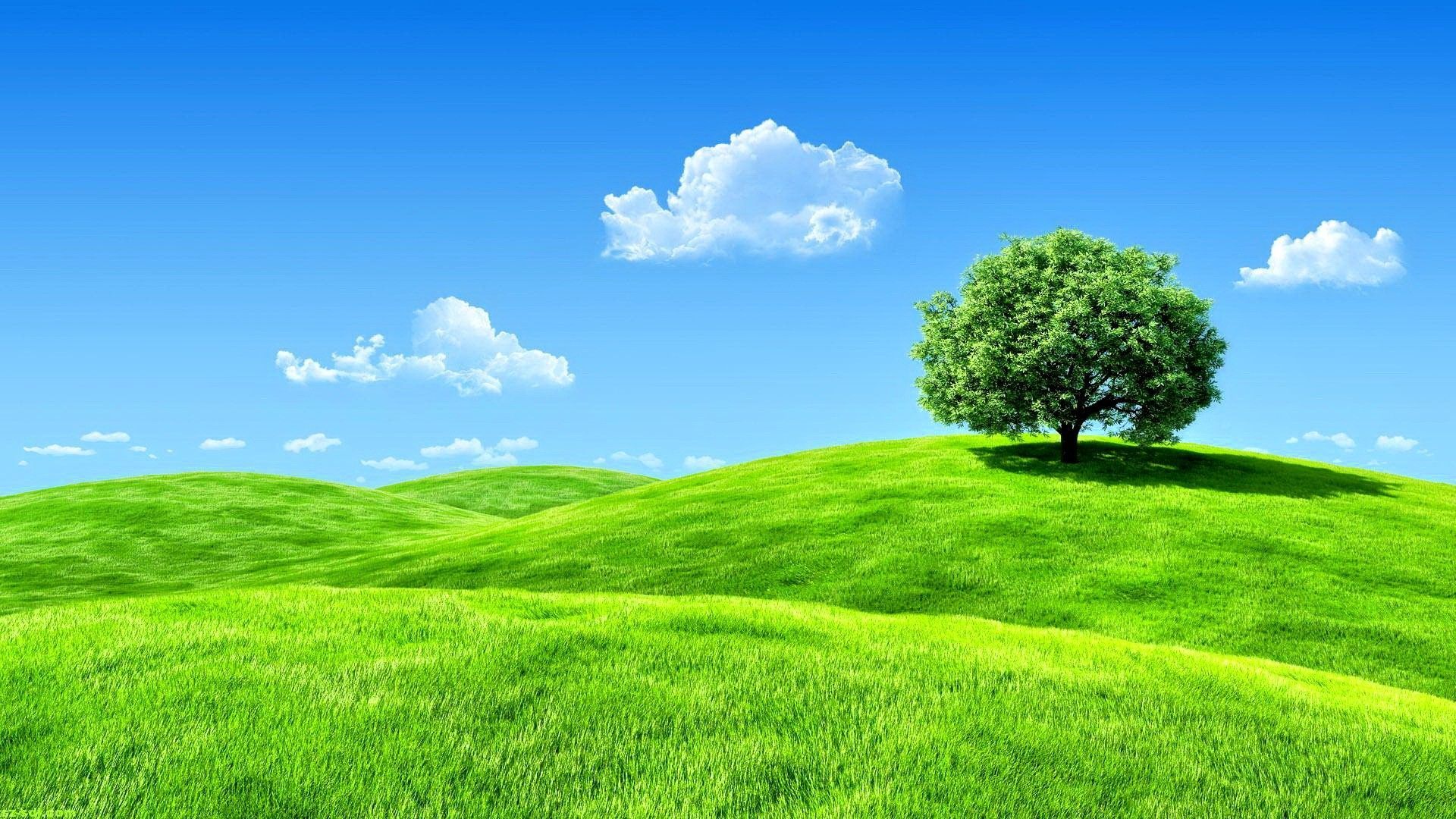 HD Nature Wallpapers Full Screen Wallpaper Cave