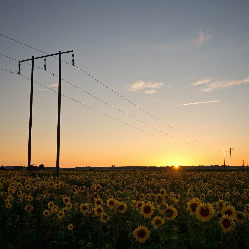 Powerline Wallpapers Wallpaper Cave