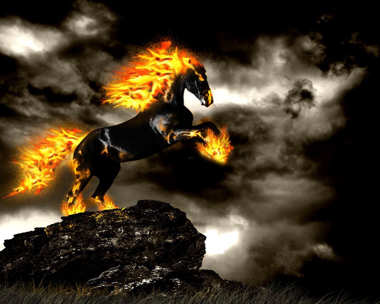 Horse Fire Wallpapers Wallpaper Cave