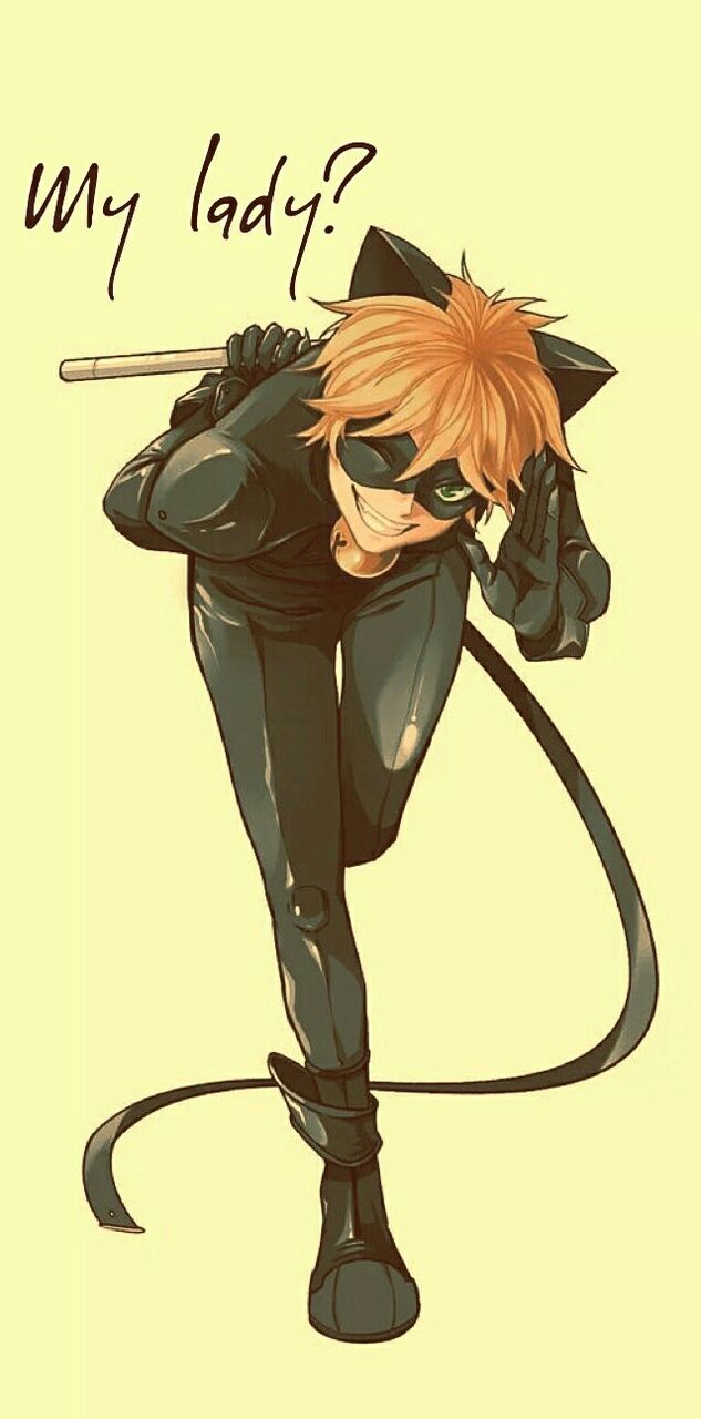 Cat Noir PFP Wallpapers Wallpaper Cave