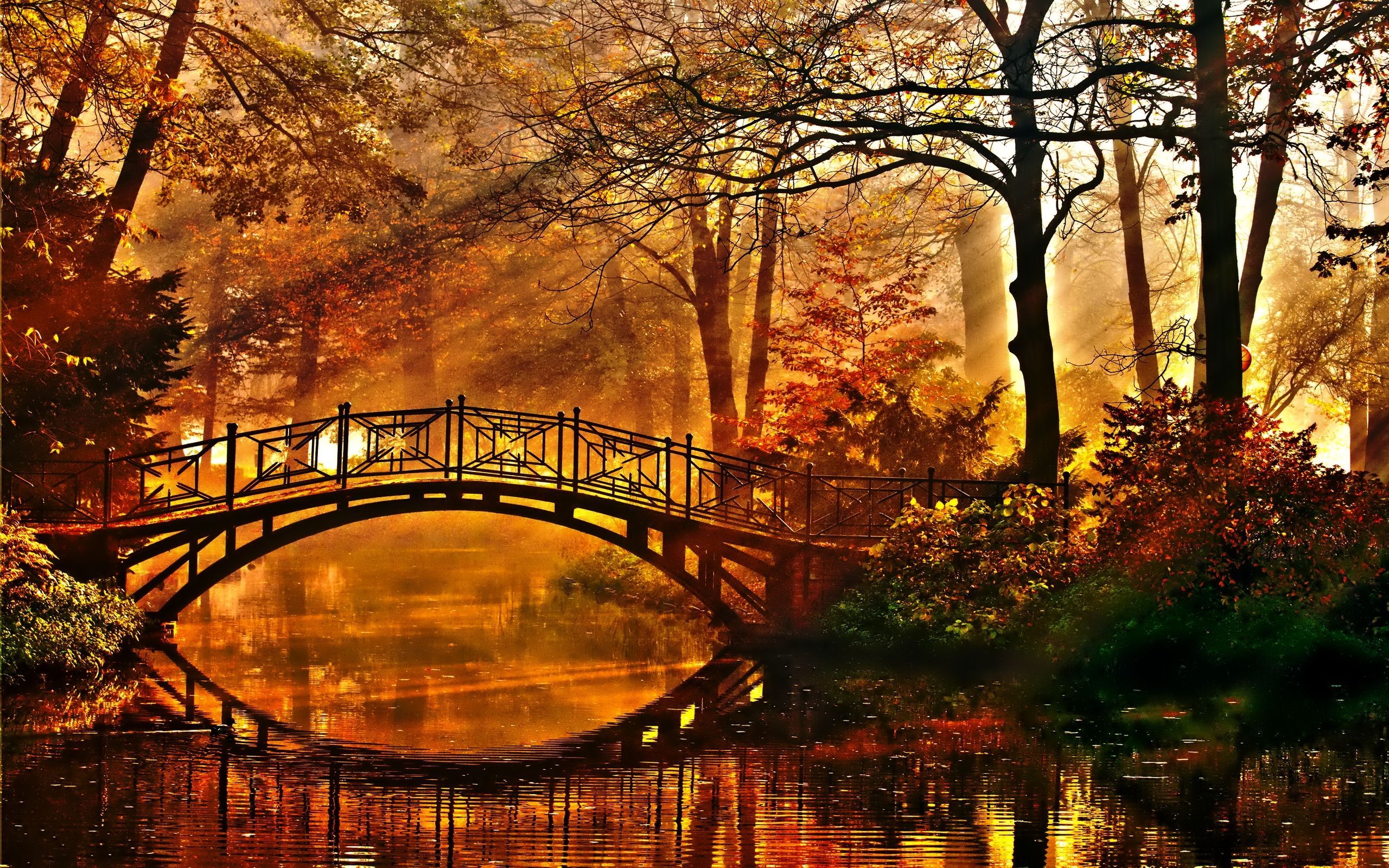 Fantasy Autumn Forest Wallpapers Wallpaper Cave