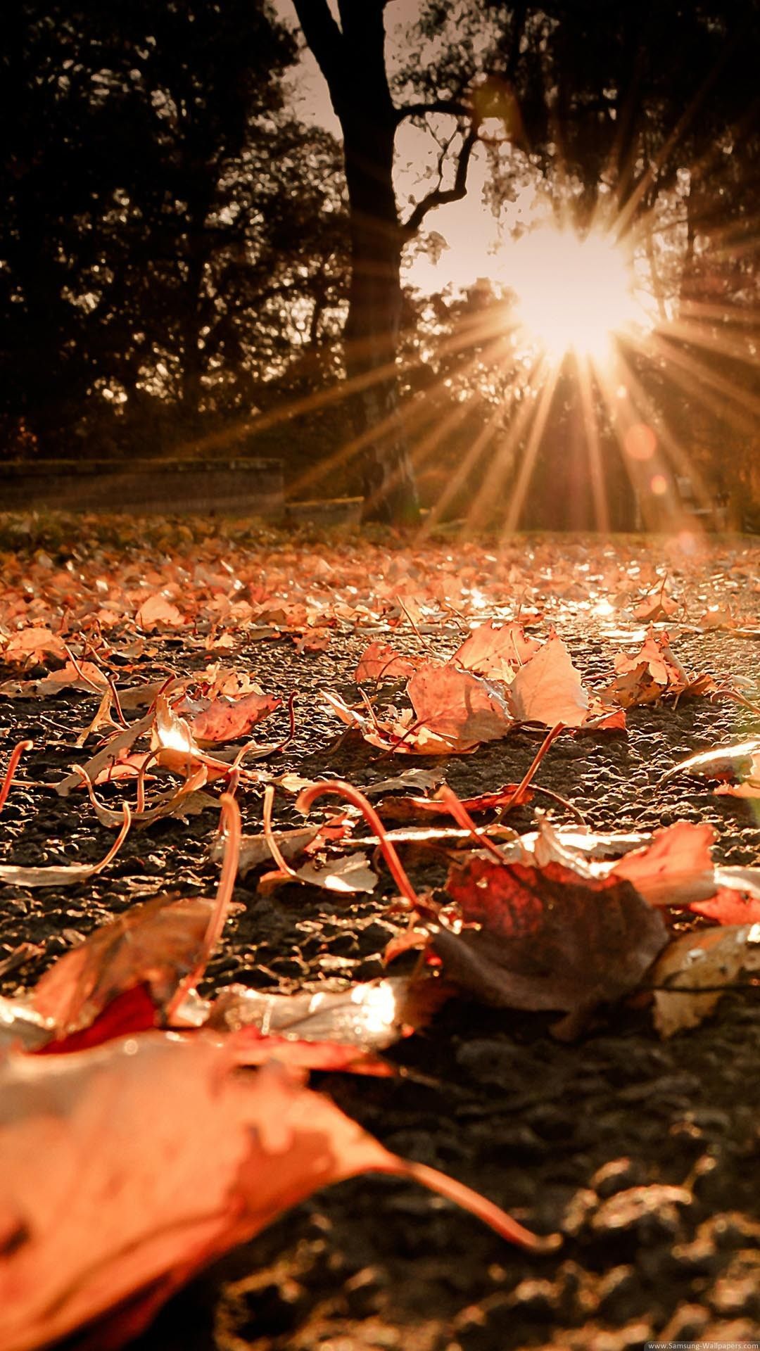 Cozy HD Autumn Wallpapers Wallpaper Cave