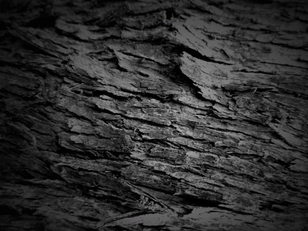Black Paper Wallpapers Wallpaper Cave