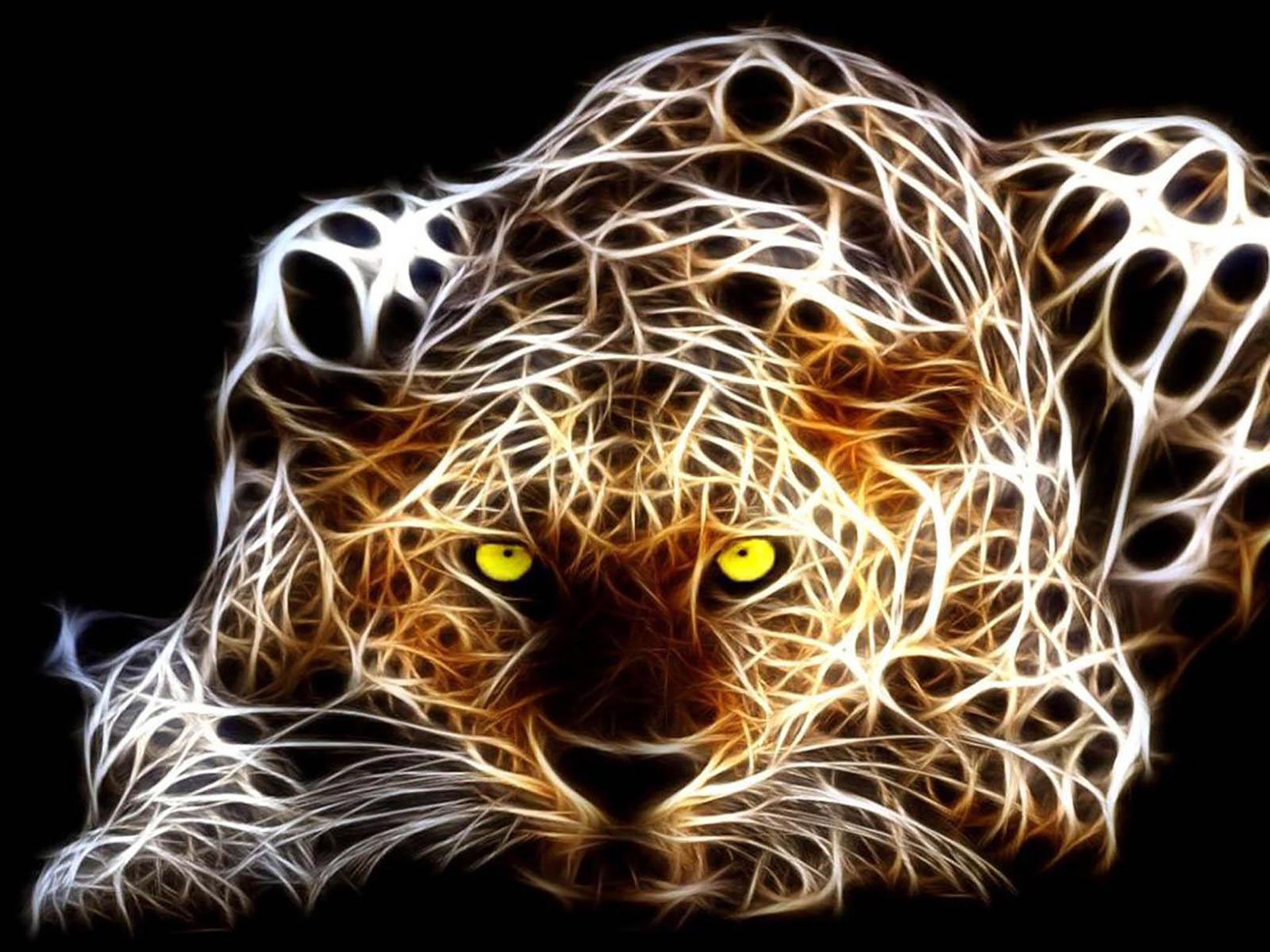 Neon Animal Wallpapers Wallpaper Cave