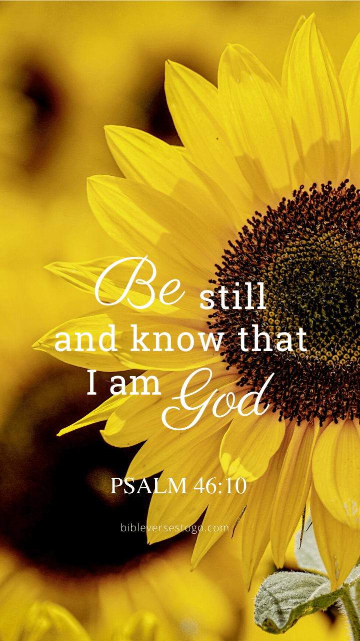 Sunflower Bible Verse Wallpaper