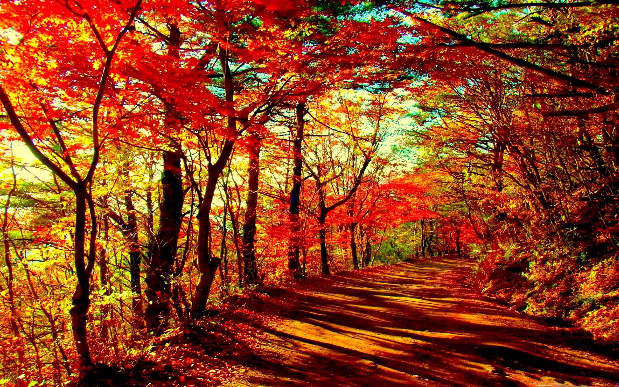Cute Autumn Macbook Wallpapers Wallpaper Cave