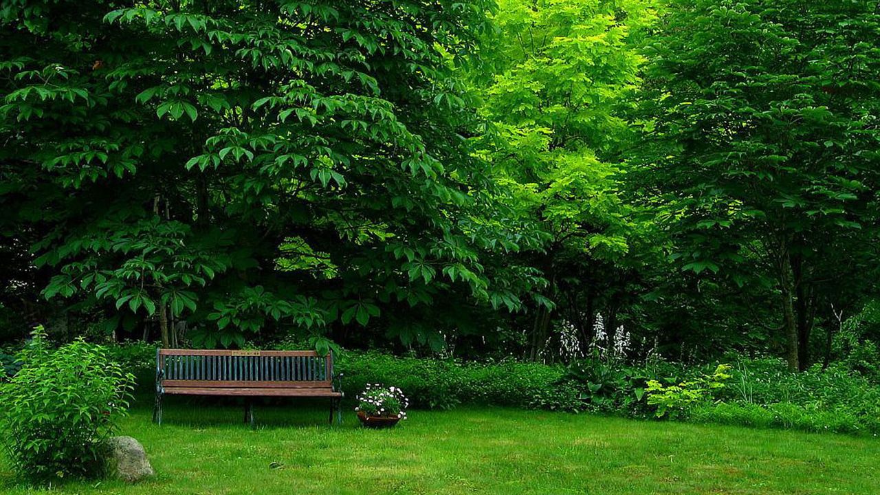 Green Garden Wallpapers Wallpaper Cave