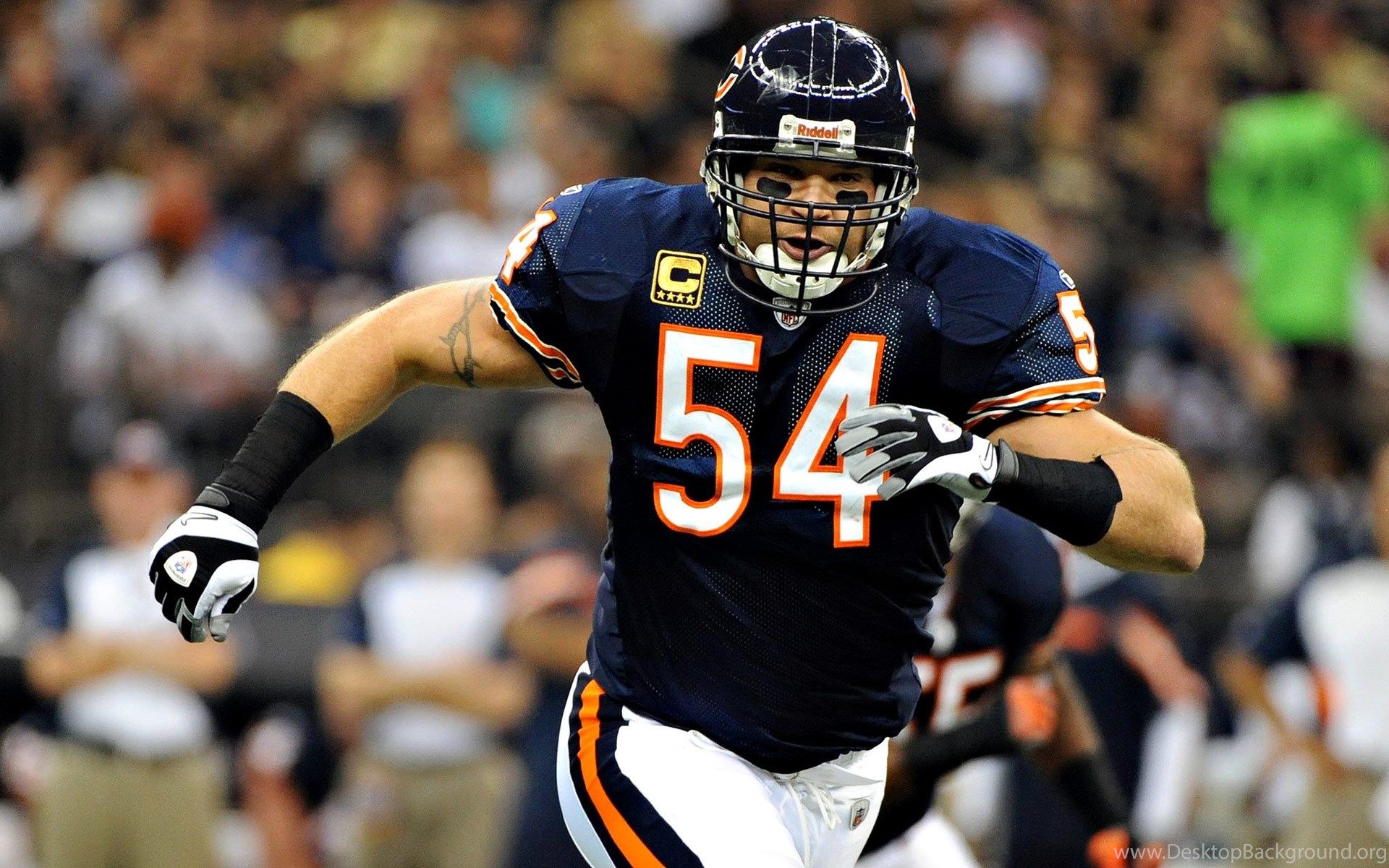Brian Urlacher Wallpapers Wallpaper Cave