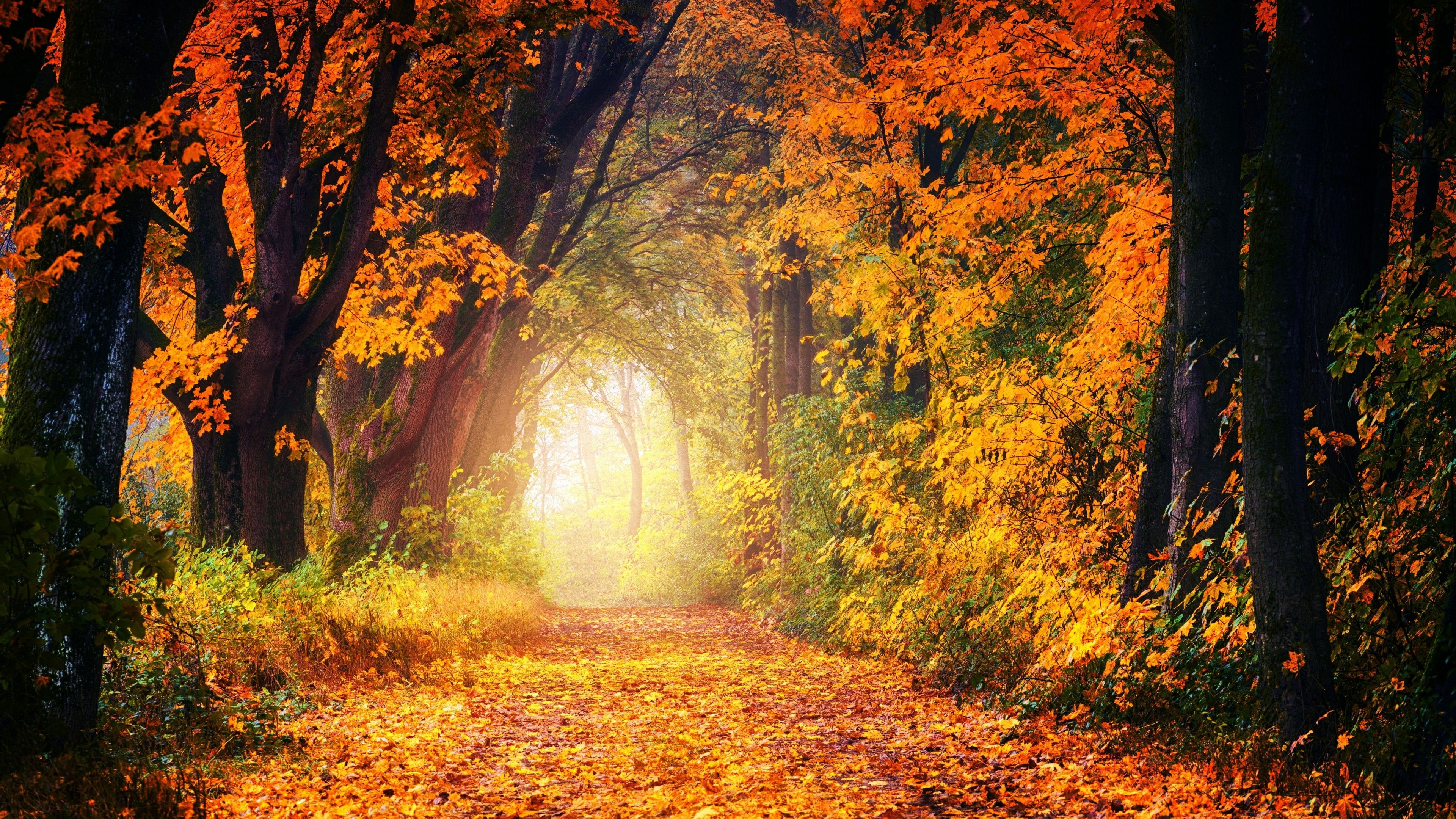 Autumn Cozy Wallpapers Wallpaper Cave