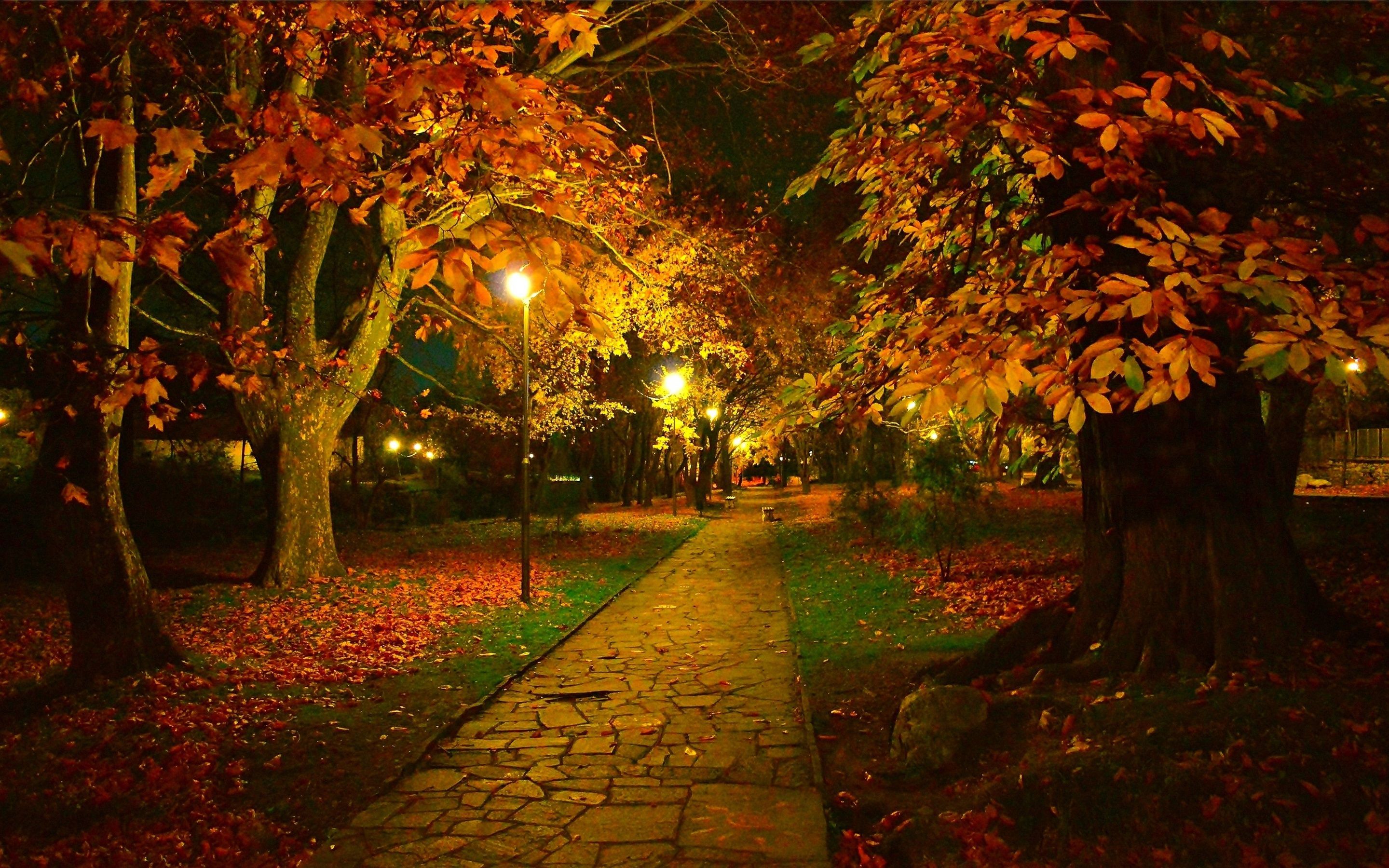 Evening Autumn Wallpapers Wallpaper Cave