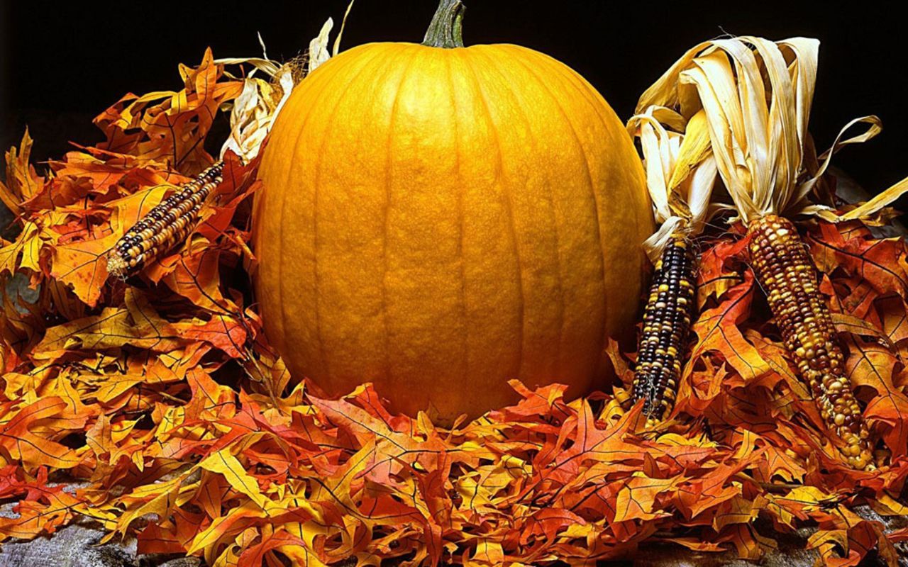 Halloween Leaves Wallpapers Wallpaper Cave