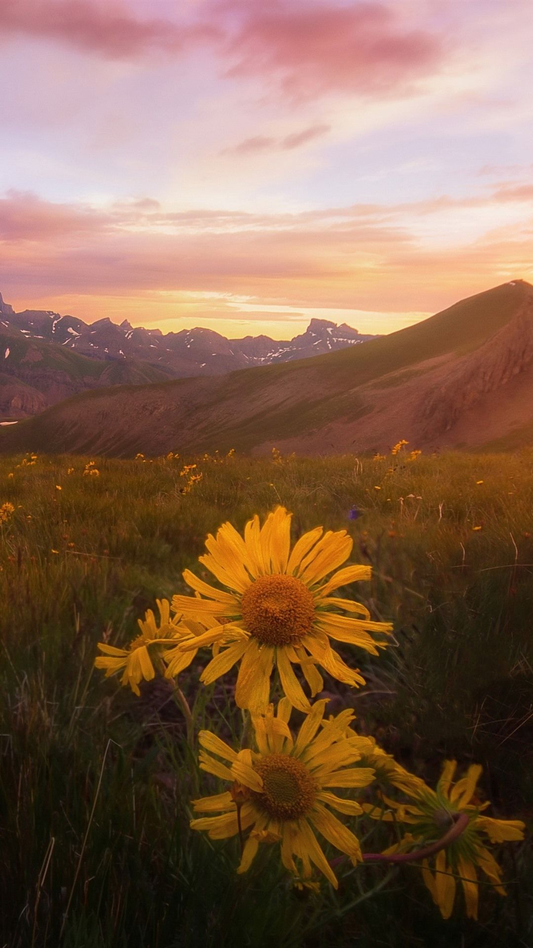 Mountain Sunset iPhone Wallpapers Wallpaper Cave