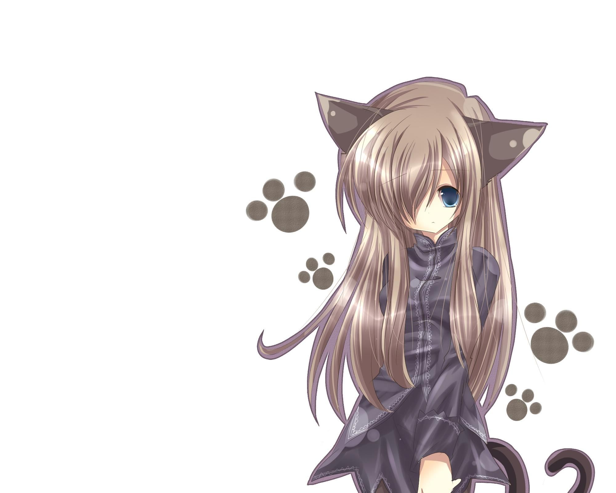 Anime Cat People Wallpapers Wallpaper Cave