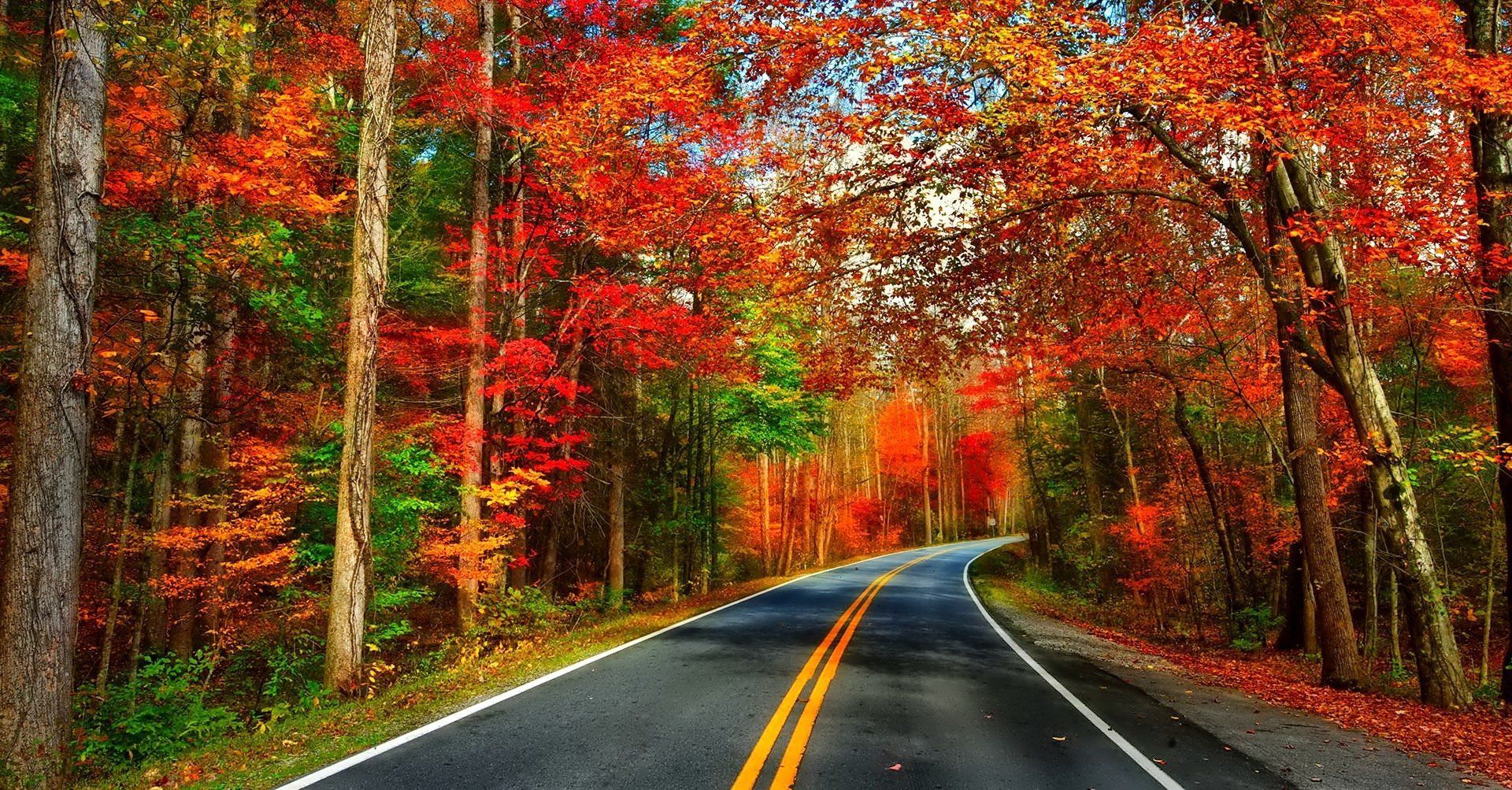Autumn Roadway Wallpapers Wallpaper Cave