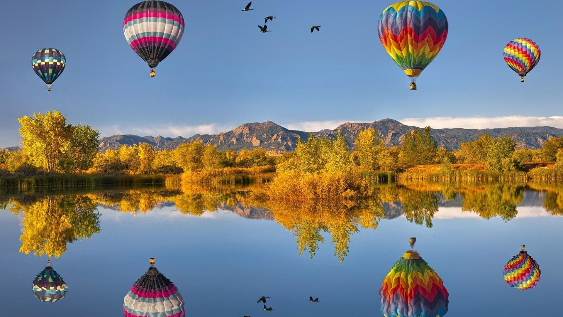Hot Air Balloon Autumn Wallpapers Wallpaper Cave