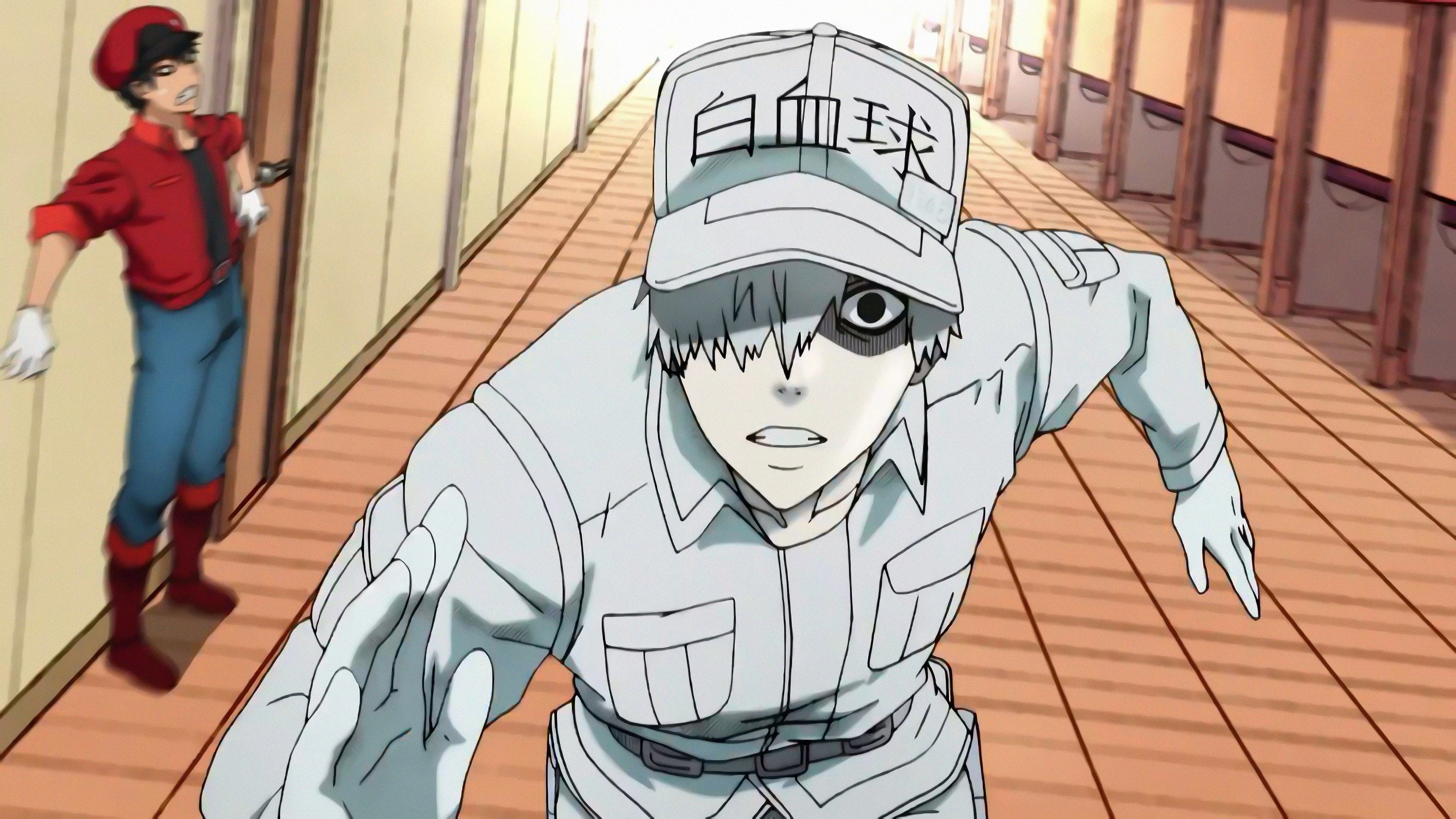 Share 74+ white blood cells anime super hot in.cdgdbentre