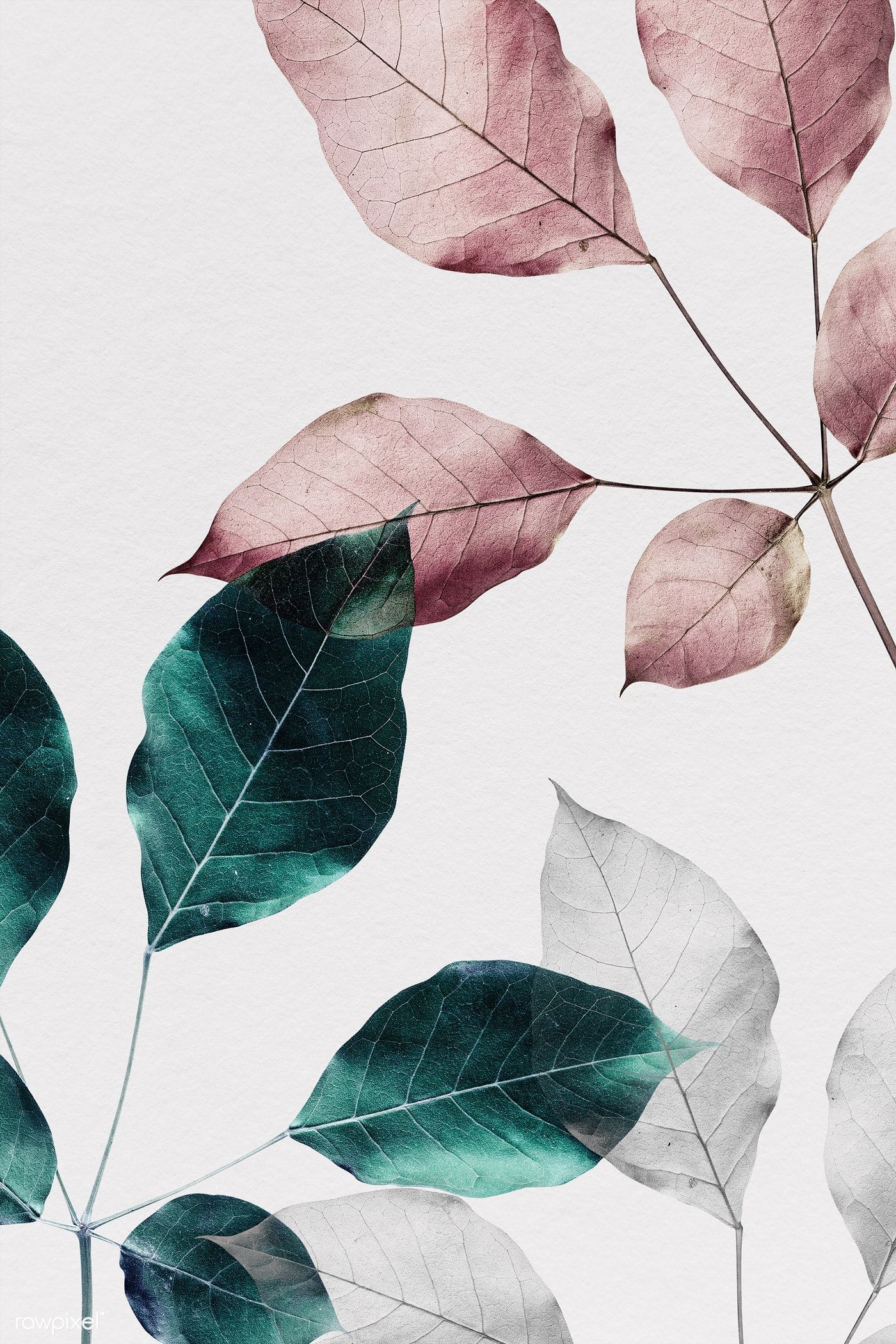 Pink Leaves Wallpapers Wallpaper Cave