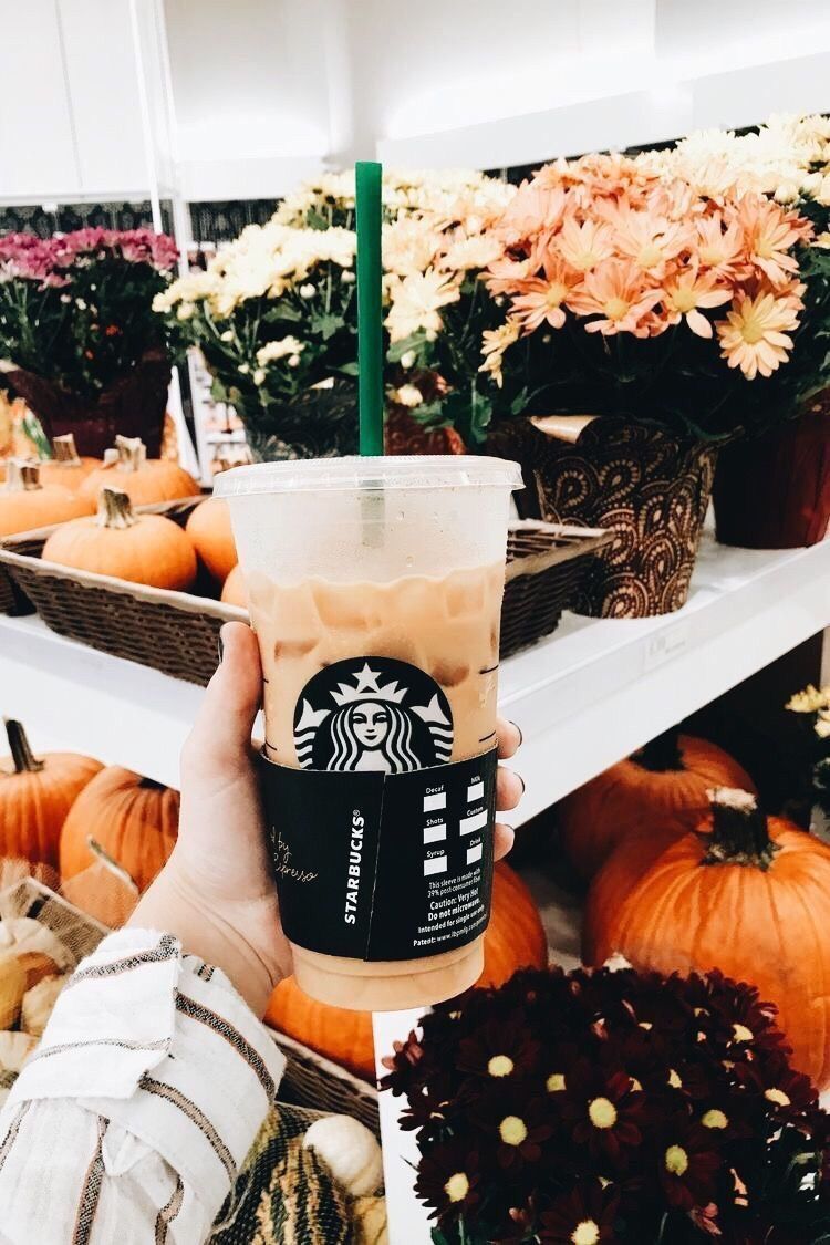 Autumn Starbucks Drink Wallpapers Wallpaper Cave