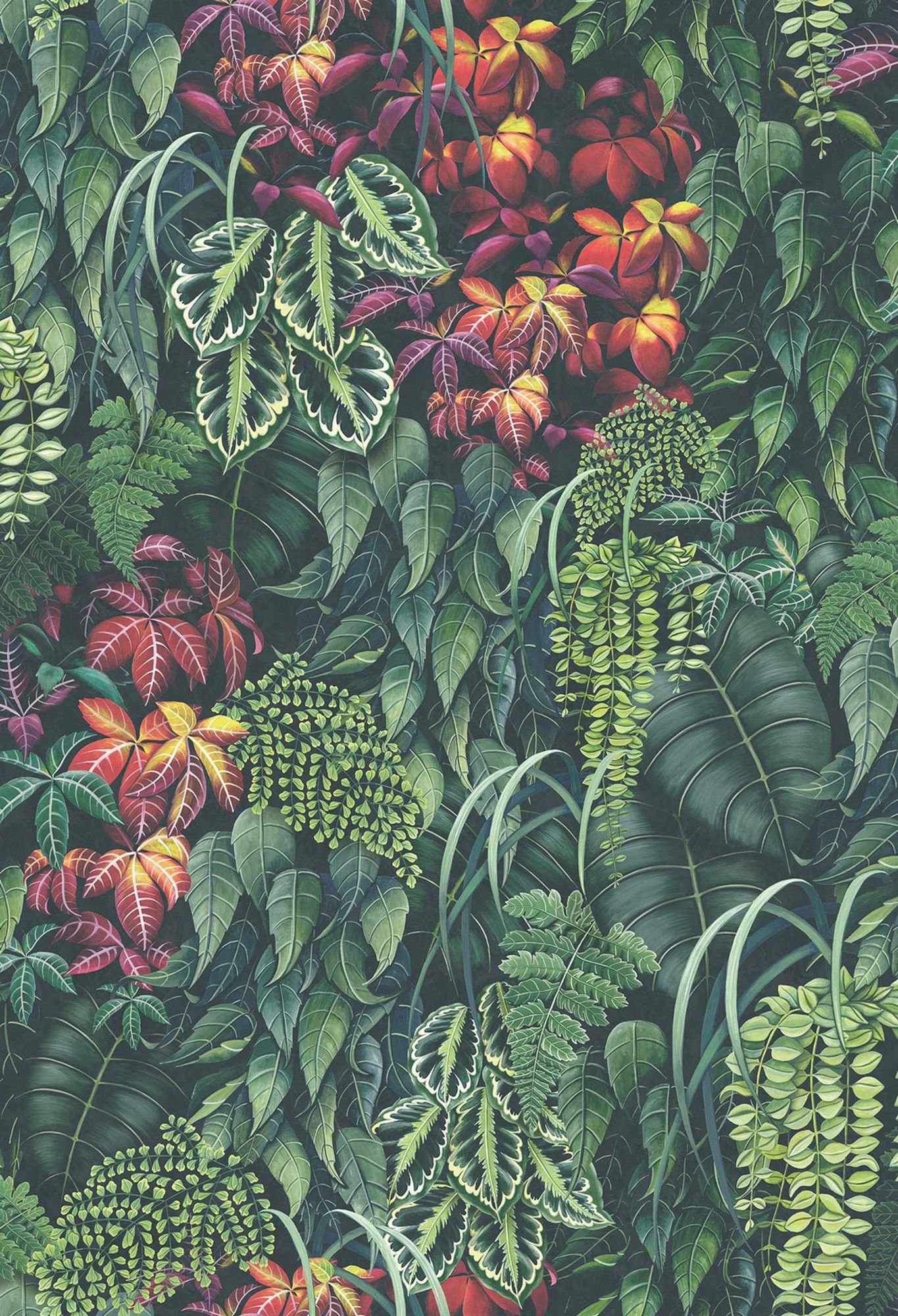 Emerald Green Wallpapers Wallpaper Cave