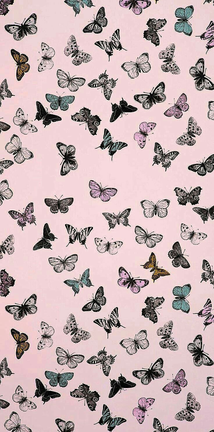 Vintage Butterfly Wallpapers Wallpaper Cave
