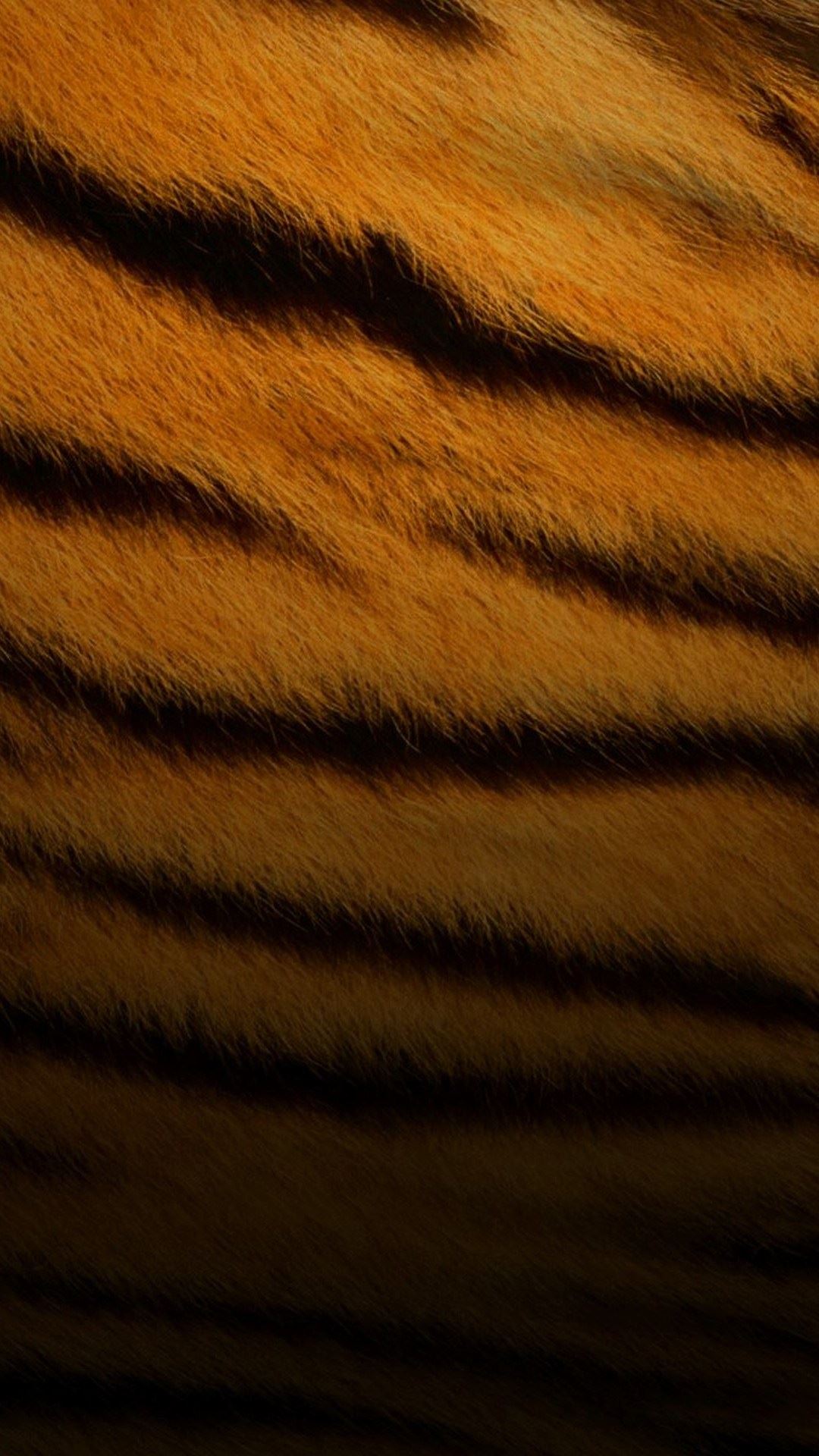 Tiger Print Wallpaper For Iphone
