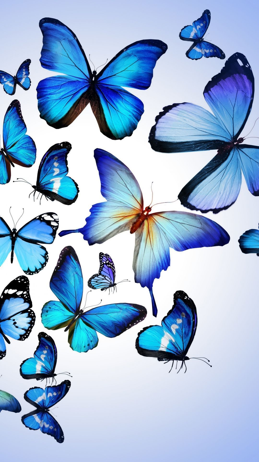 Ombre Butterflies Wallpapers Wallpaper Cave