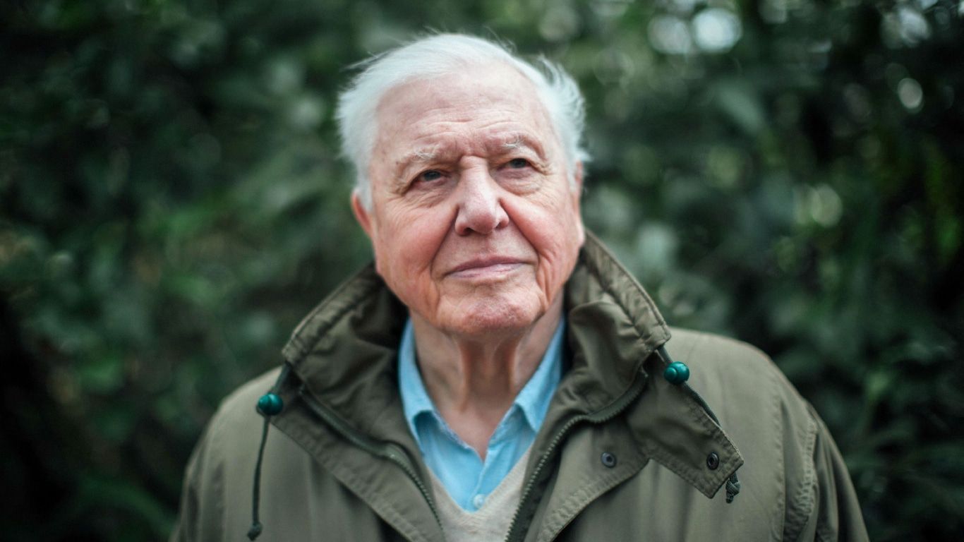 David Attenborough Wallpapers Wallpaper Cave
