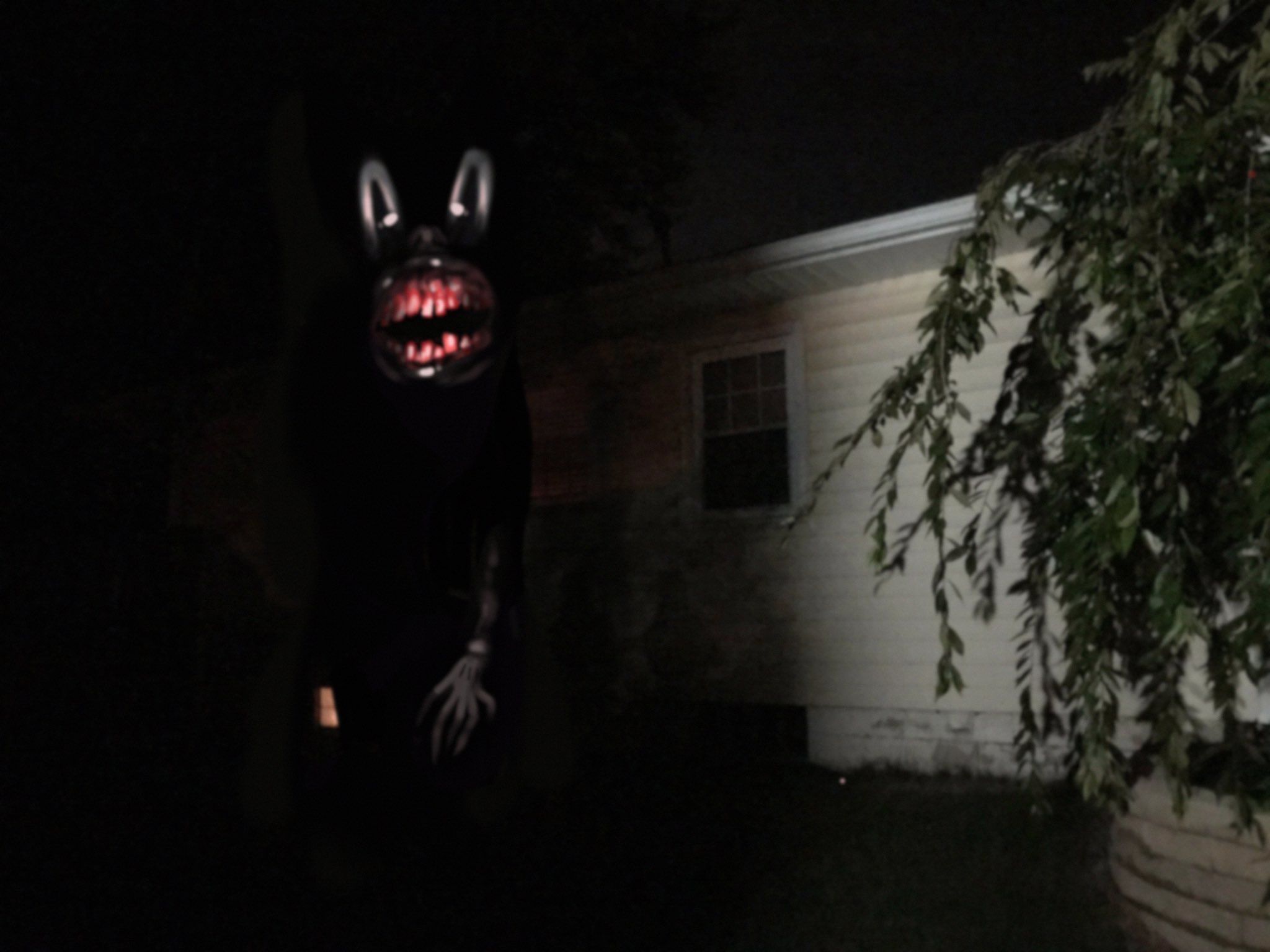 Cartoon Cat Scary Wallpapers Wallpaper Cave