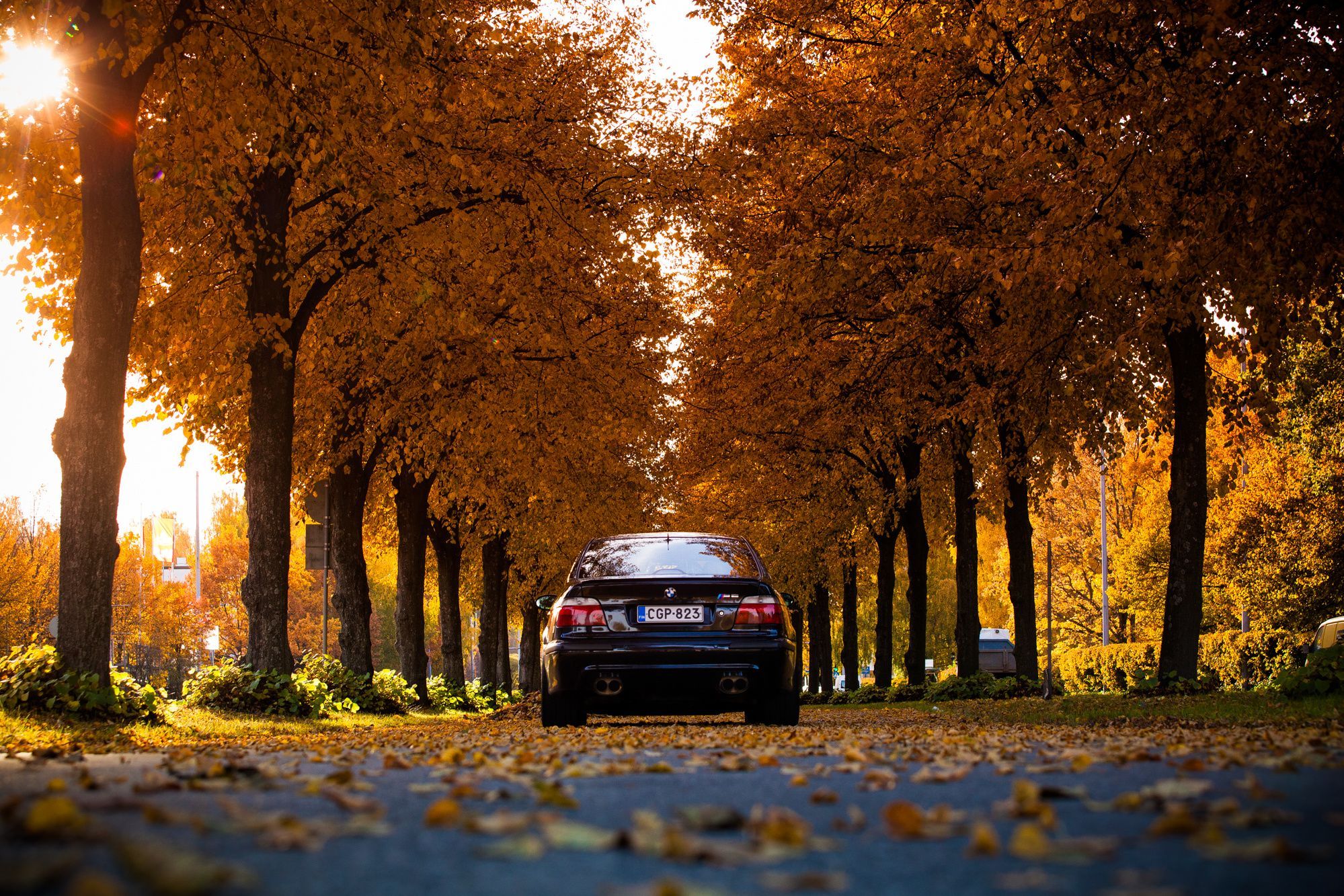 Autumn BMW Wallpapers Wallpaper Cave