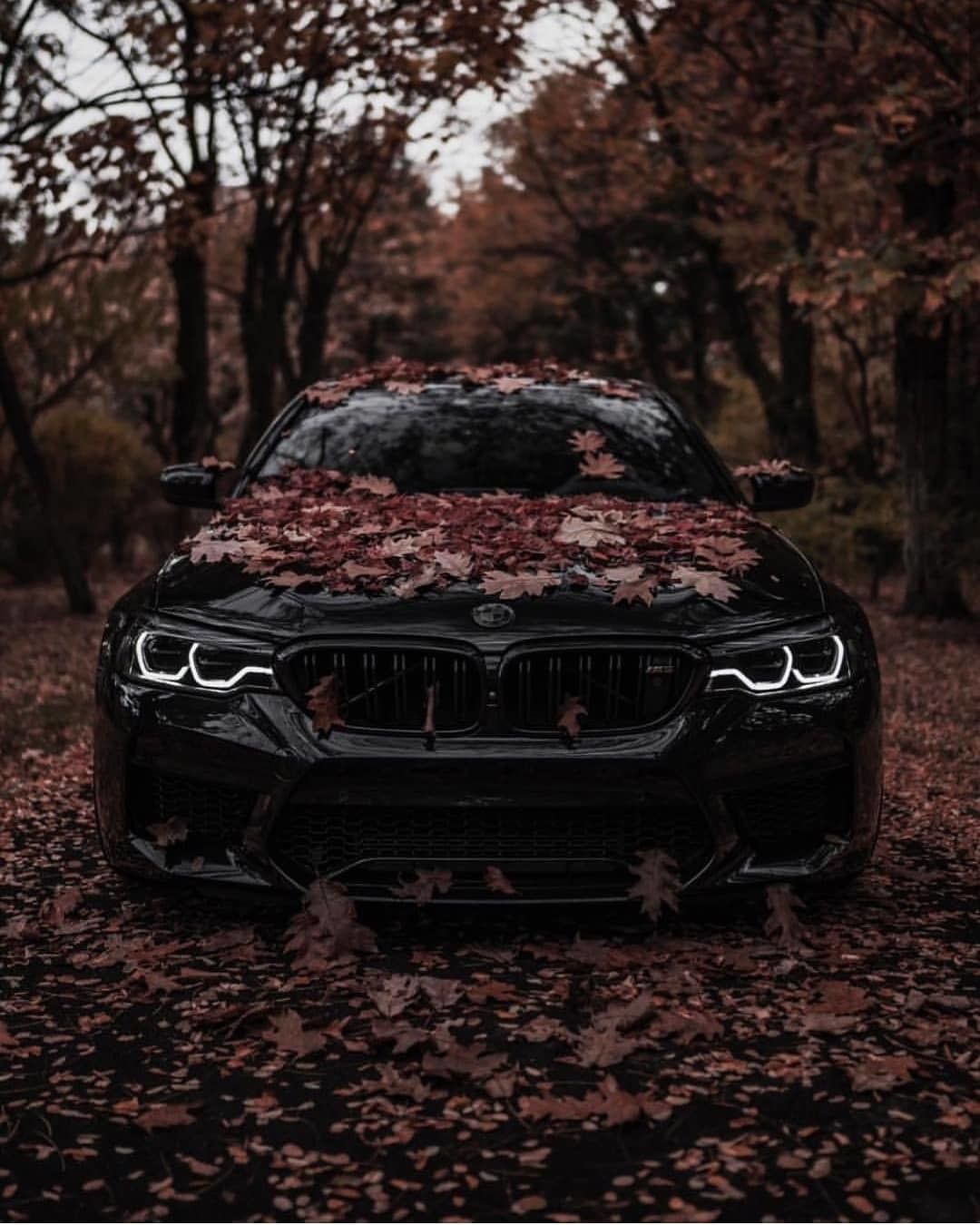 Autumn BMW Wallpapers Wallpaper Cave