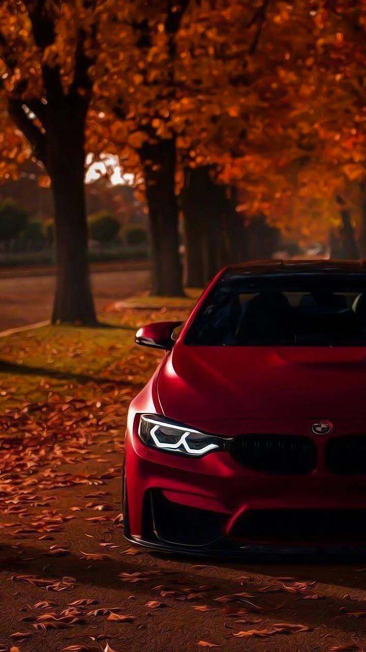 Autumn BMW 4K Wallpaper