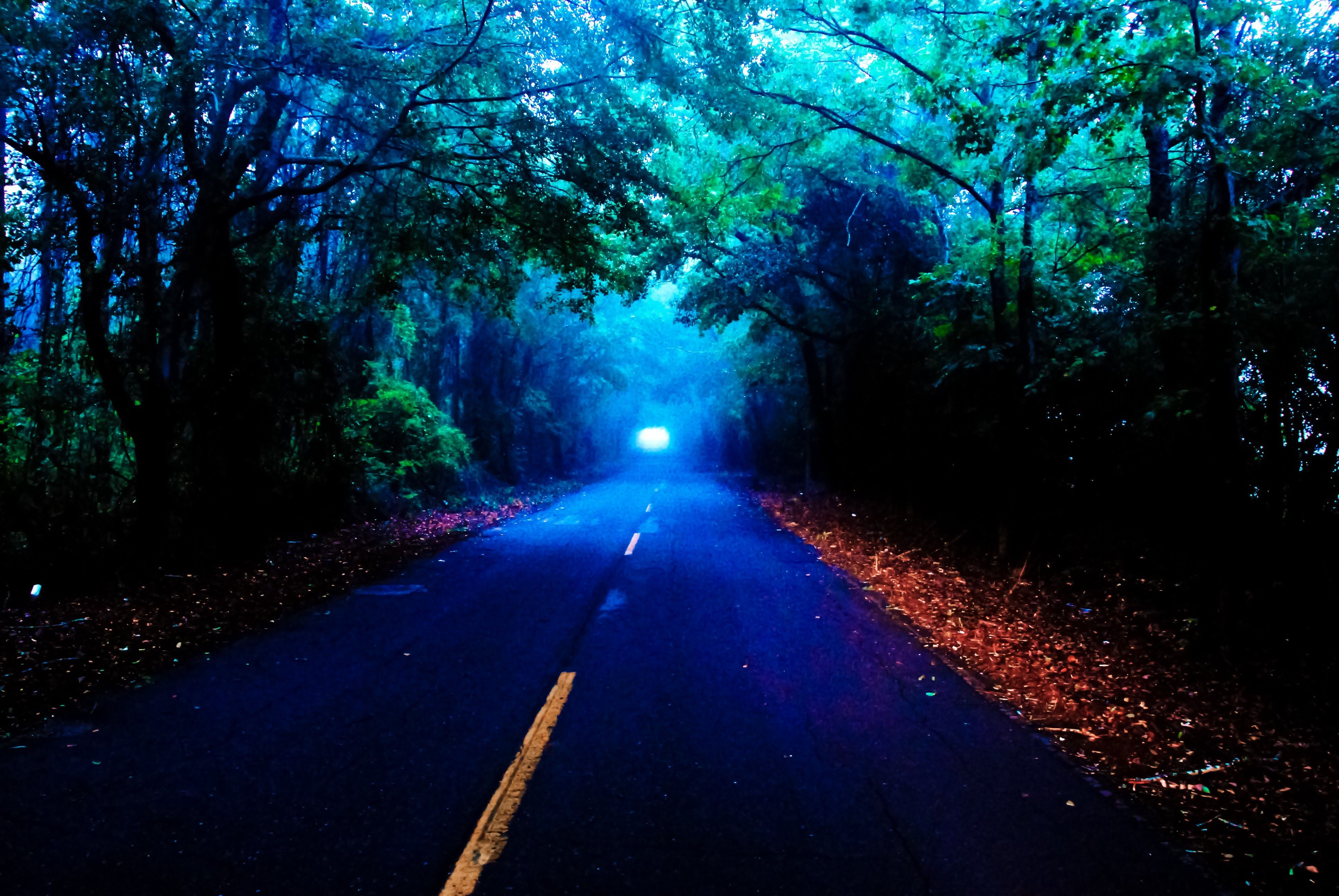 Autumn Fall Night Wallpapers Wallpaper Cave