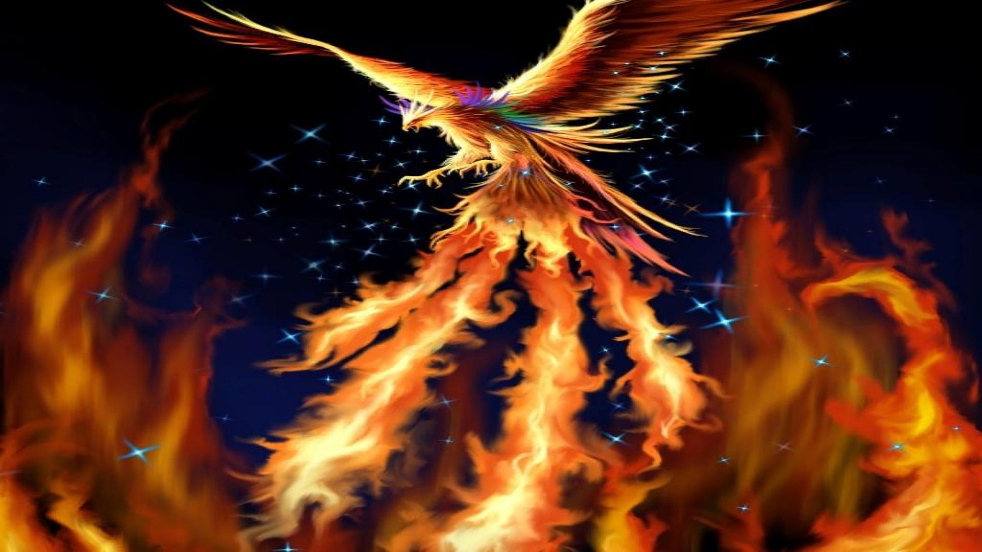 Anime Phoenix Wallpapers Wallpaper Cave
