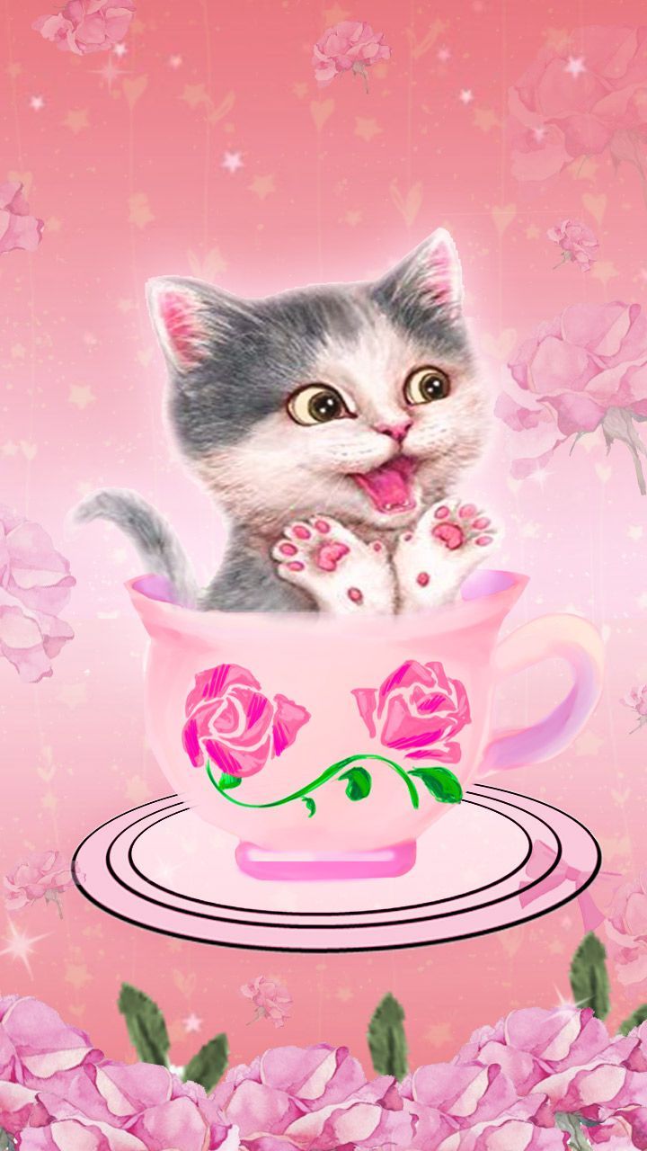 Pink Kitten Wallpapers Wallpaper Cave