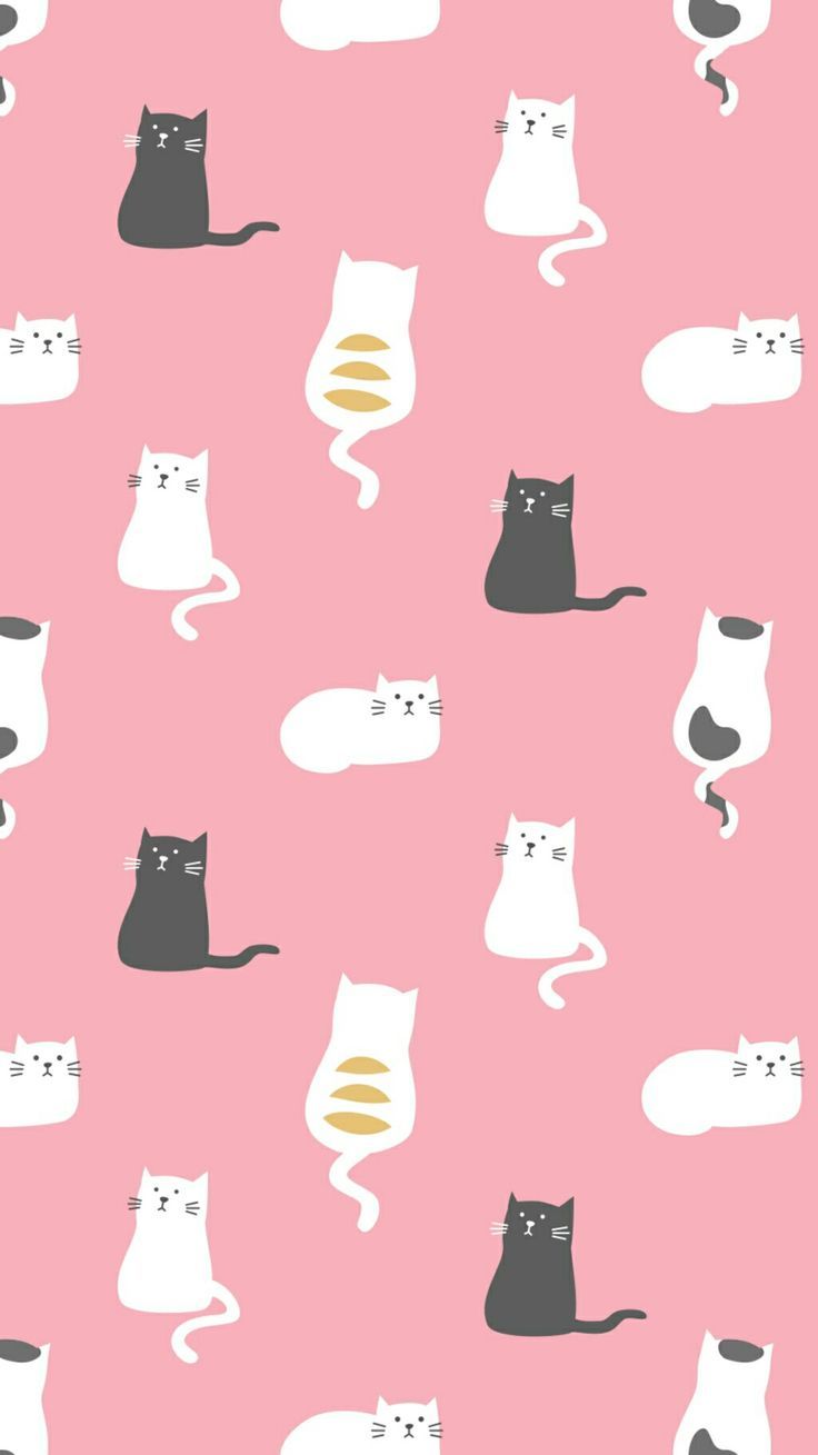 Kawaii Cat Kitty Wallpapers Wallpaper Cave